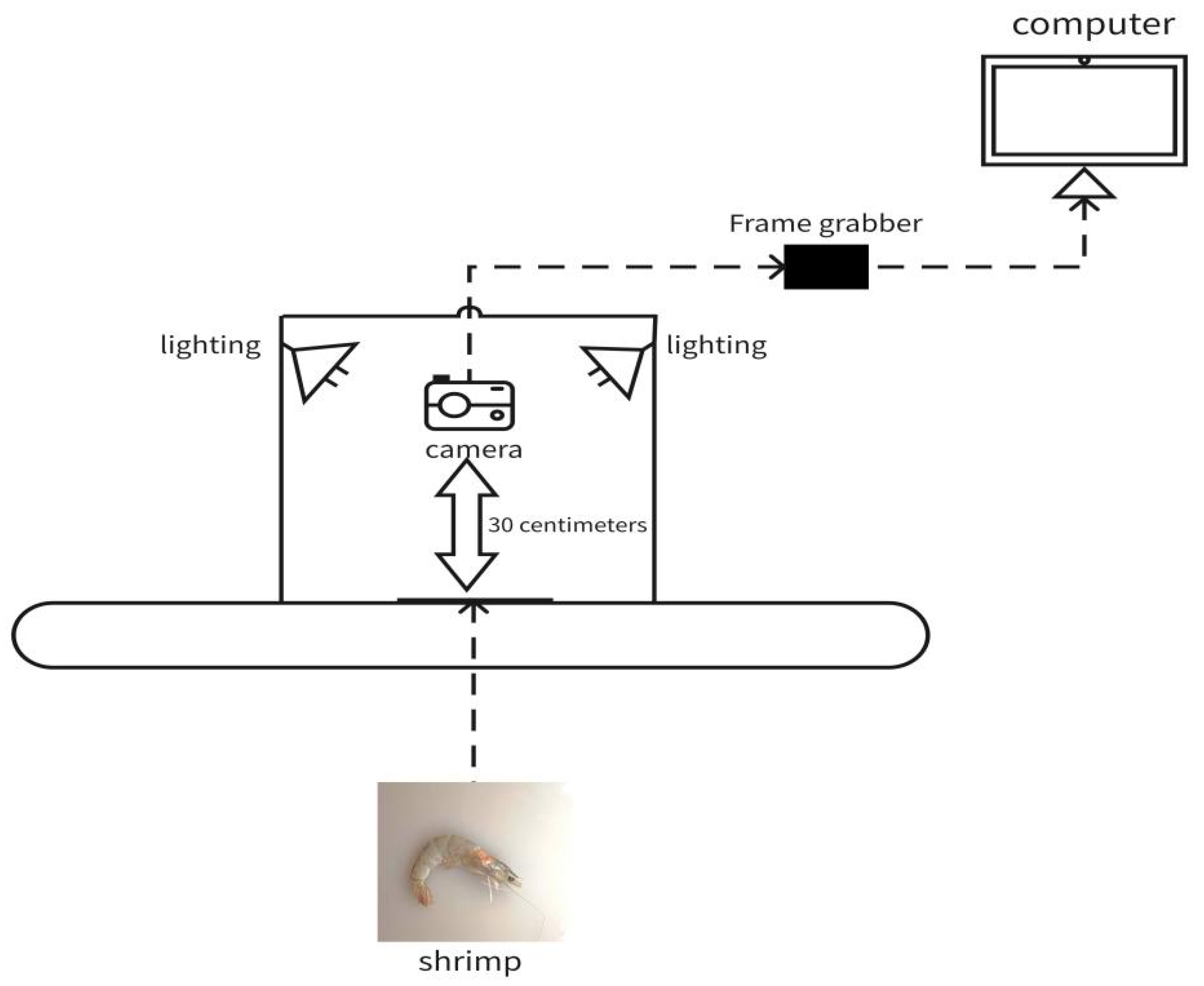 Processes 13 02895 g001