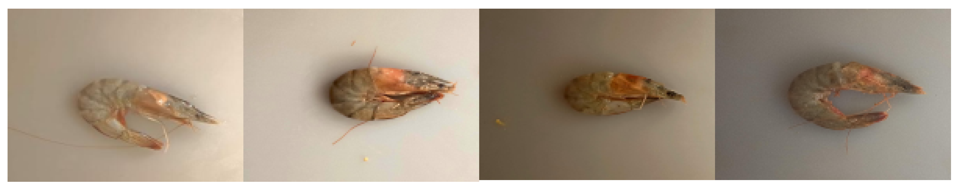 Processes 13 02895 g002