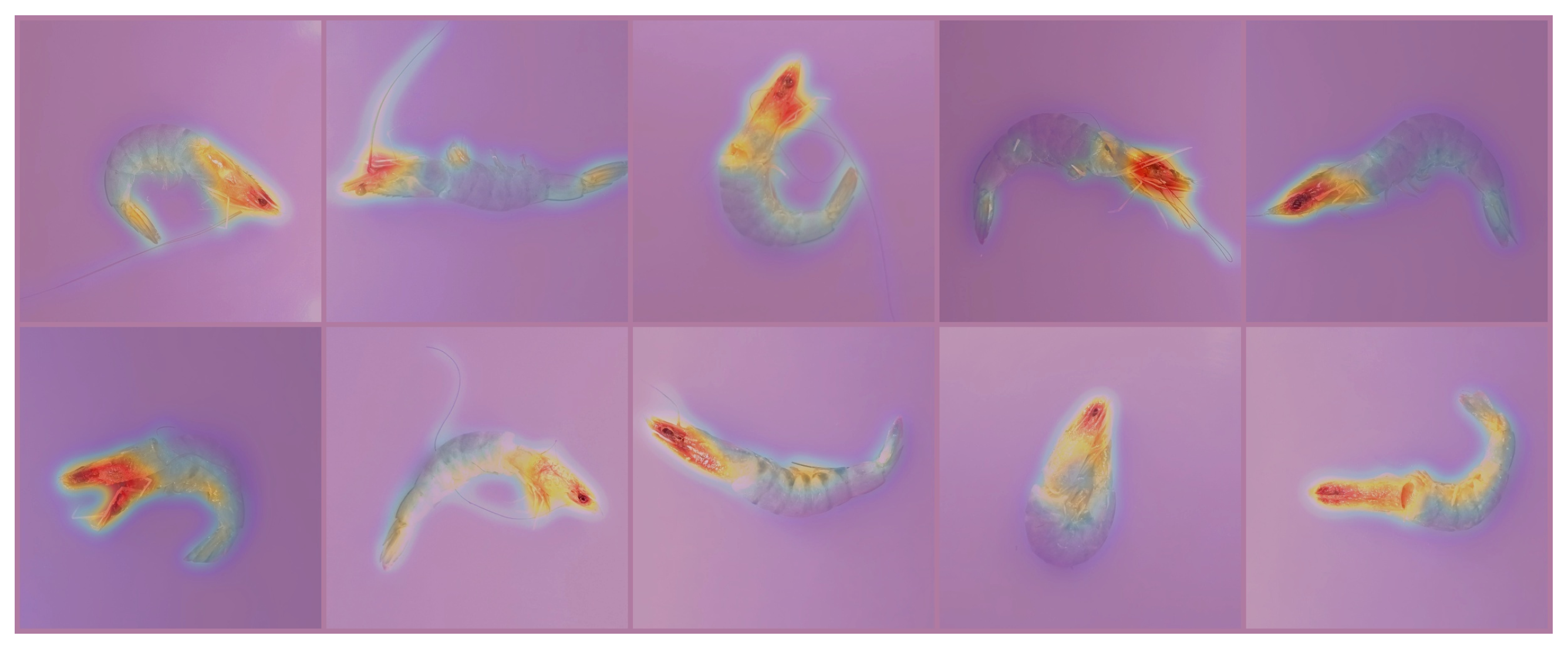 Processes 13 02895 g012