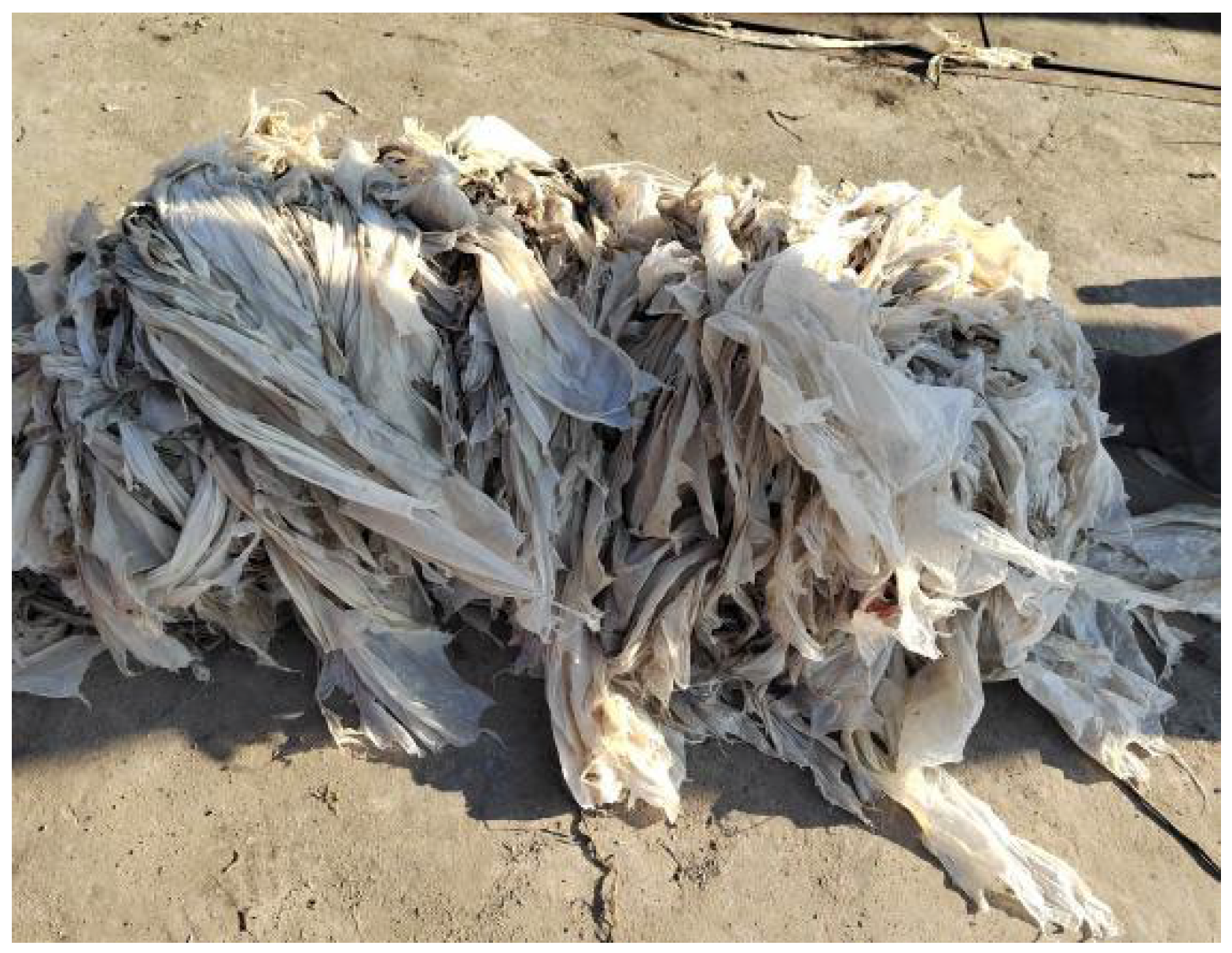 Processes 13 02912 g007