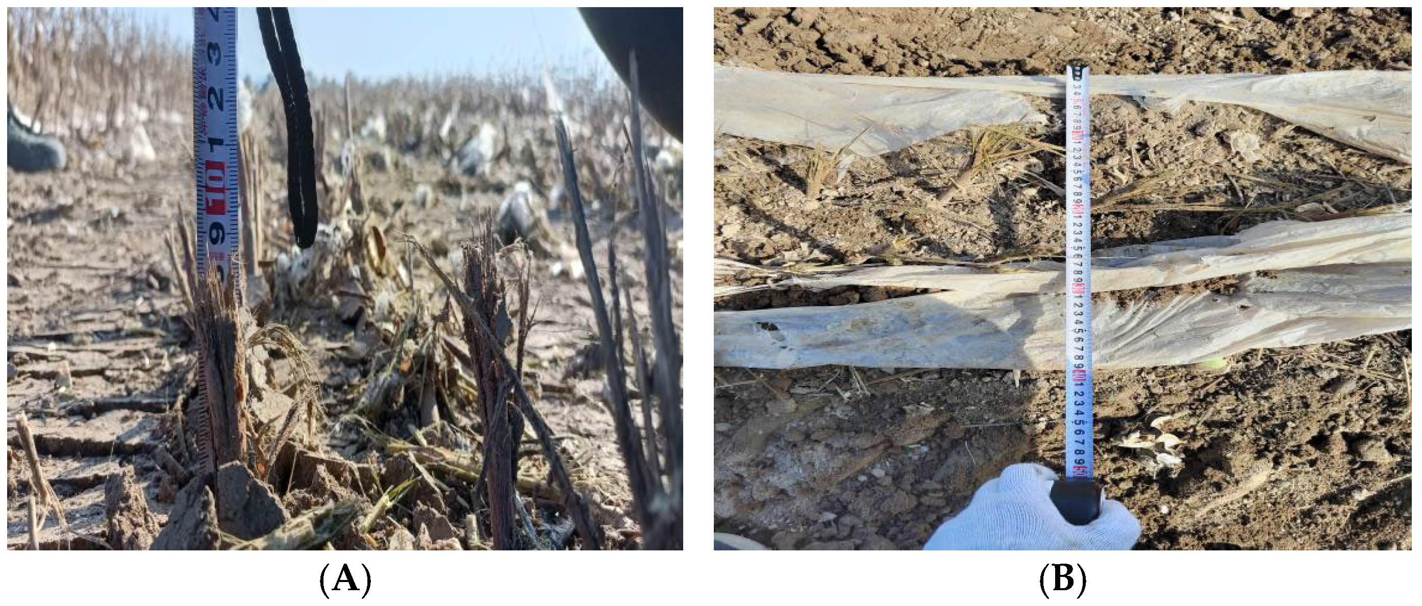 Processes 13 02912 g008