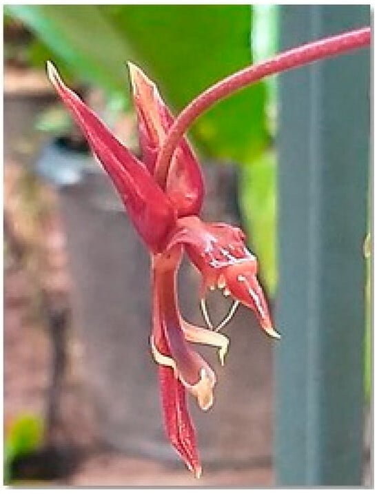 Processes 13 02950 g001