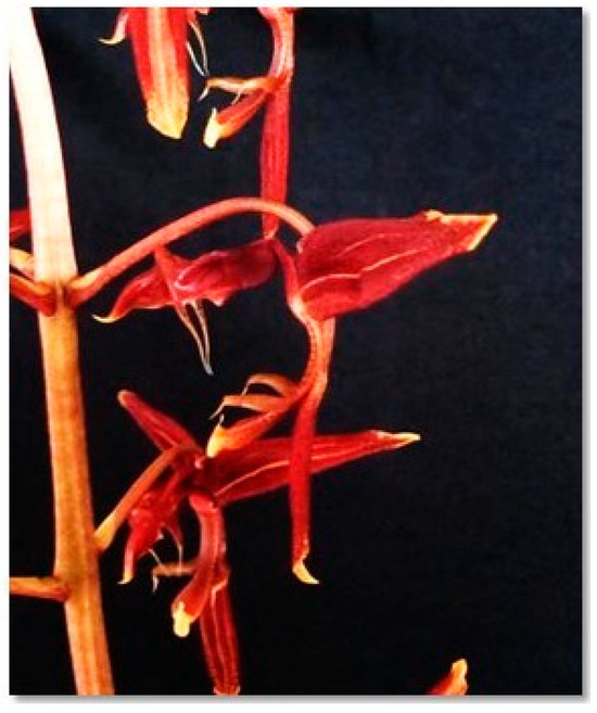 Processes 13 02950 g003