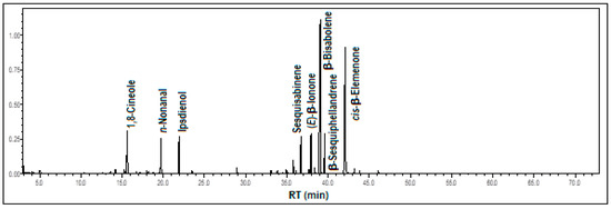 Processes 13 02950 g004