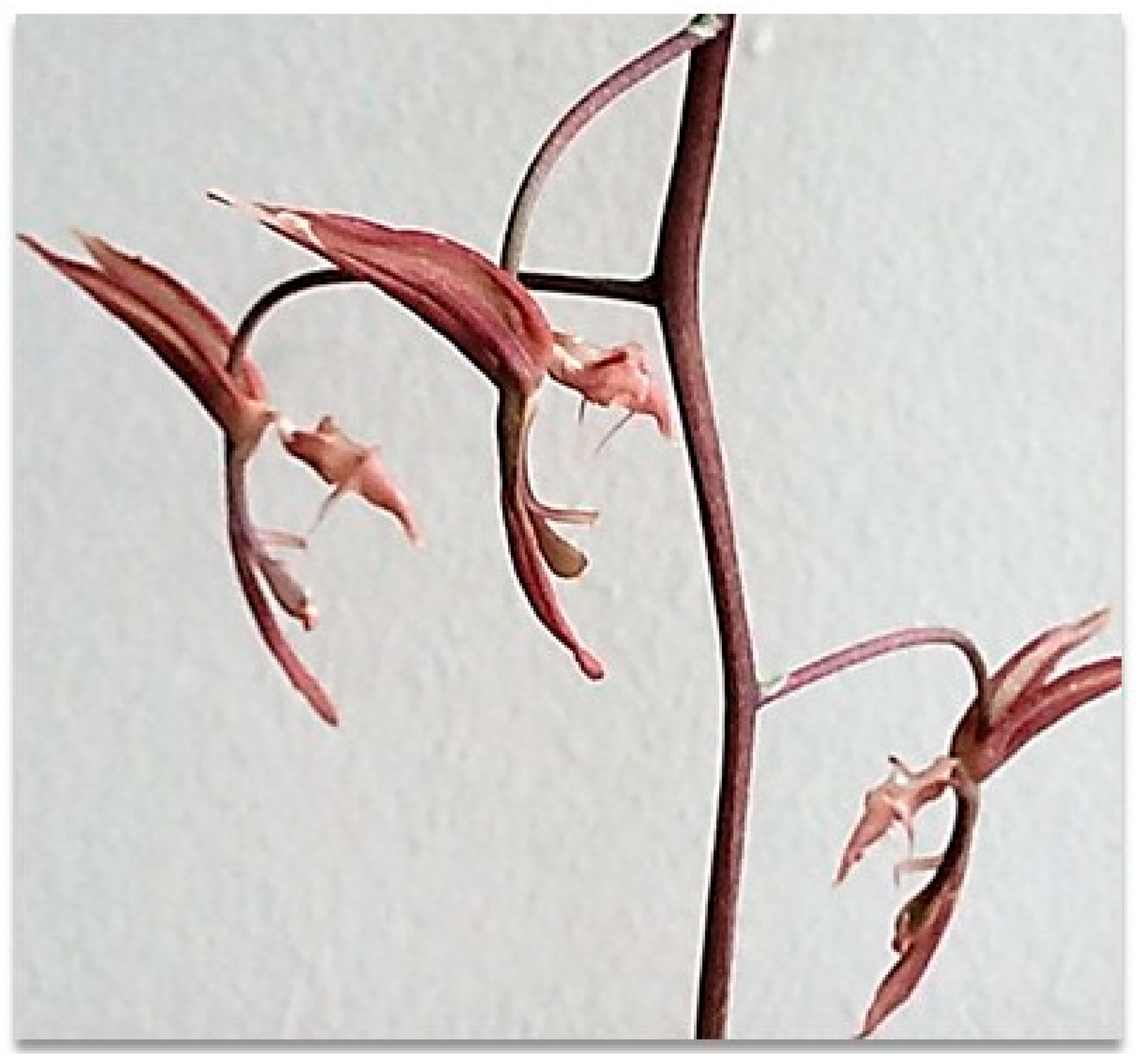 Processes 13 02950 g005