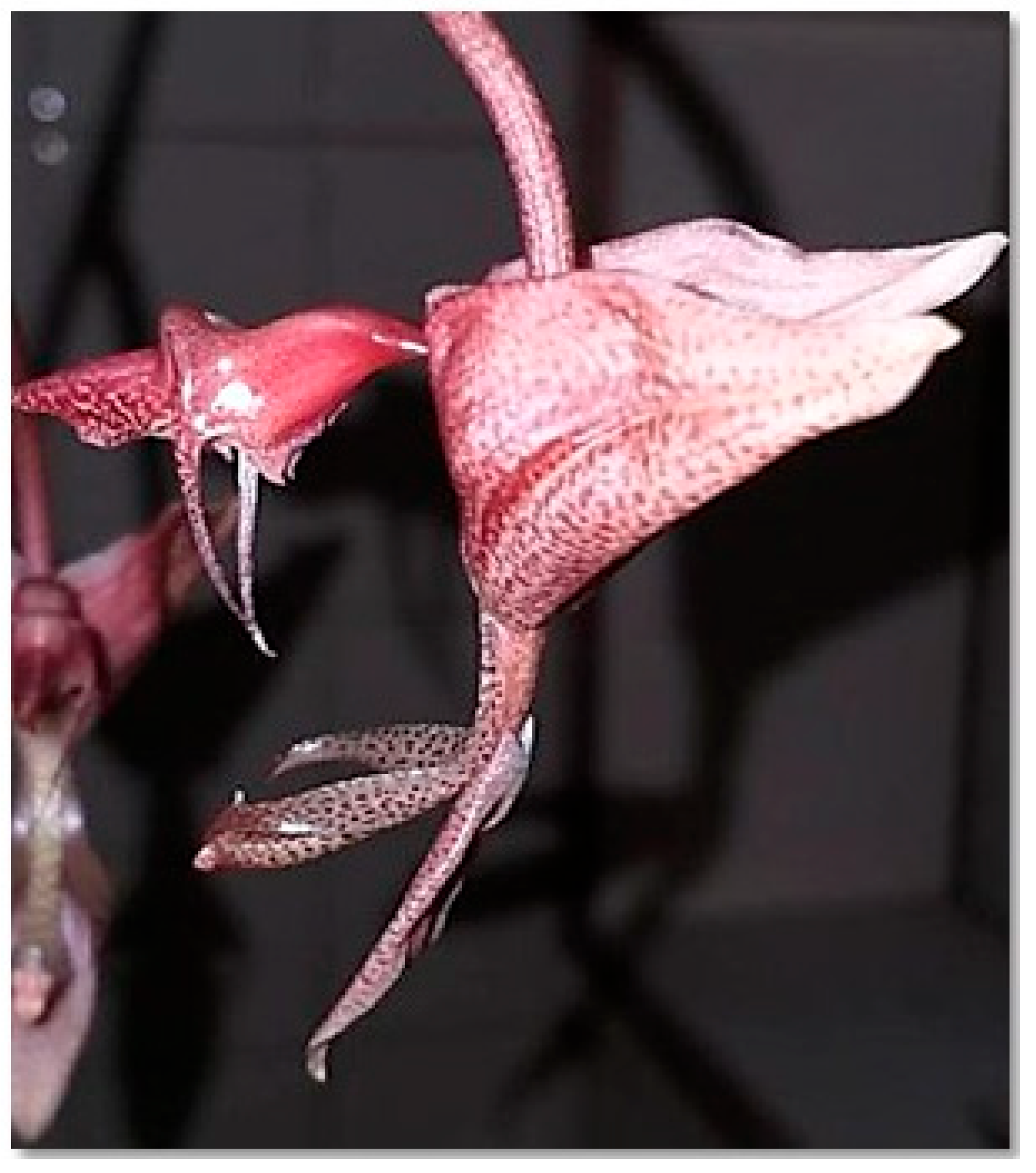 Processes 13 02950 g007