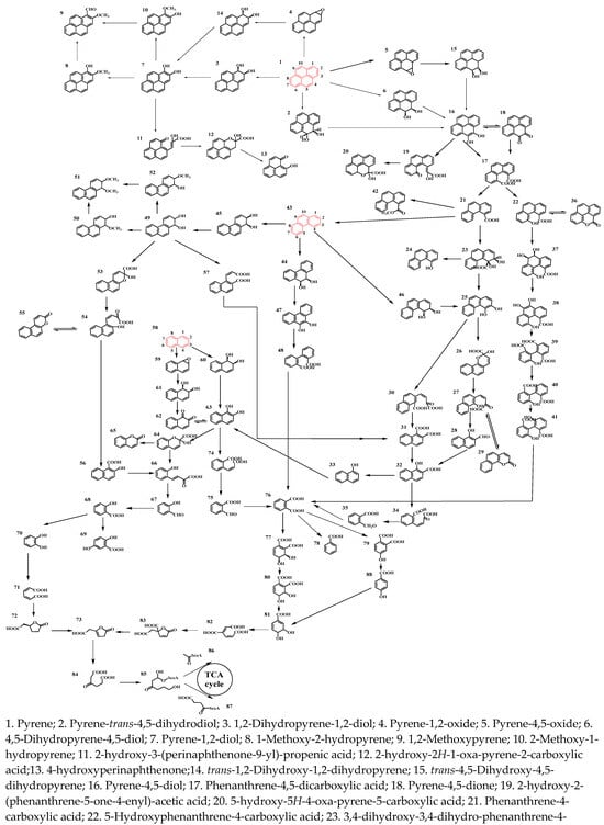 Processes 13 02954 g002a Processes 13 02954 g002a