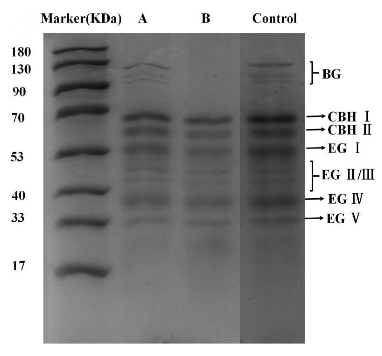 Processes 13 02960 g007