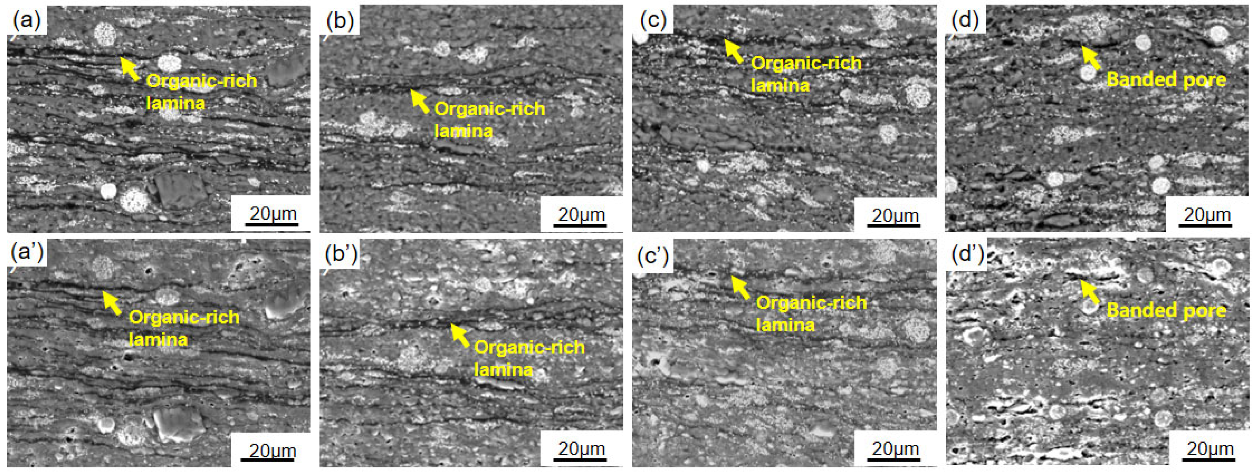 Processes 13 02966 g005