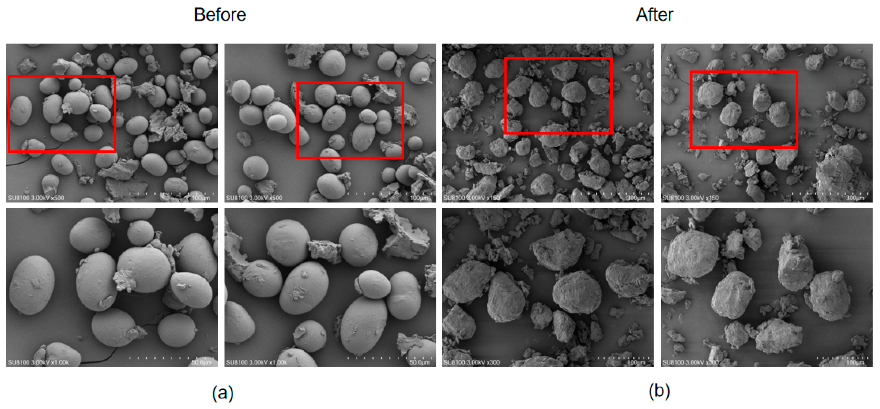 Processes 13 02977 g002 Processes 13 02977 g002