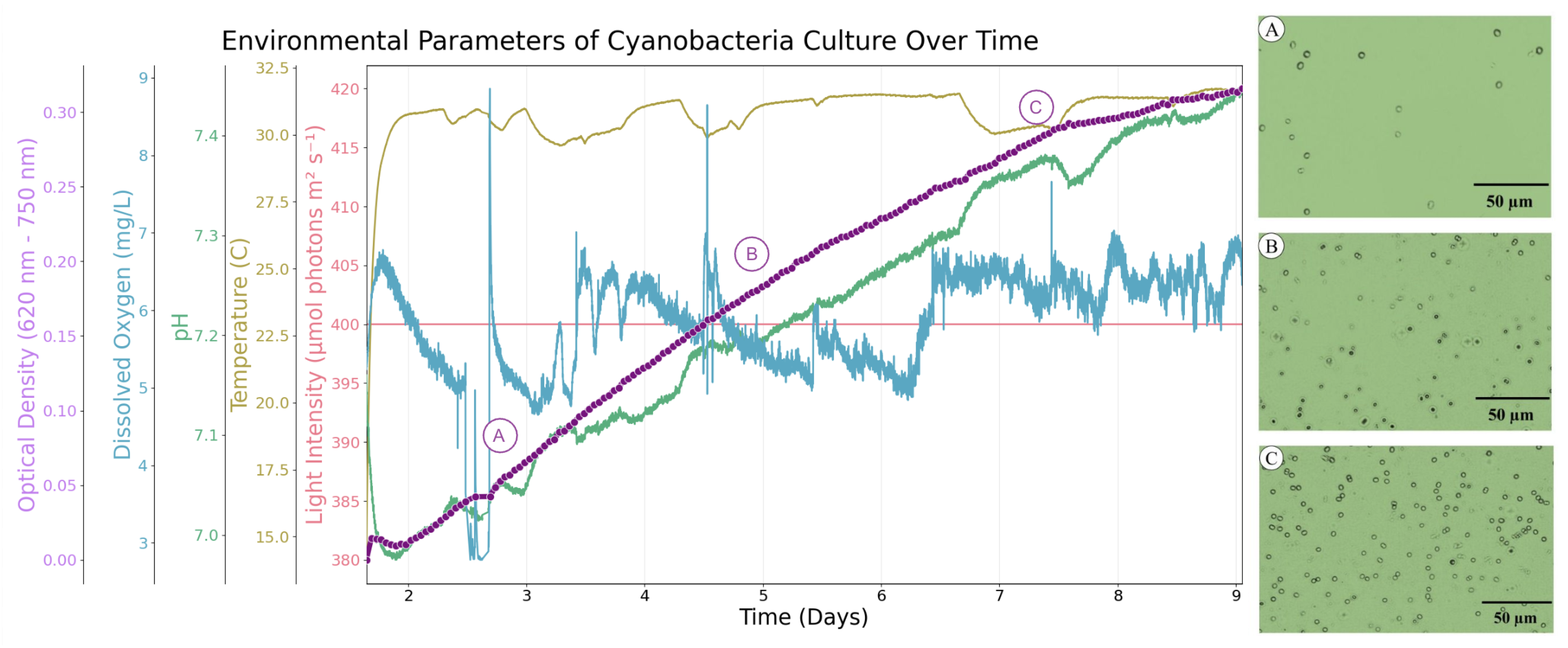 Processes 13 02985 g004