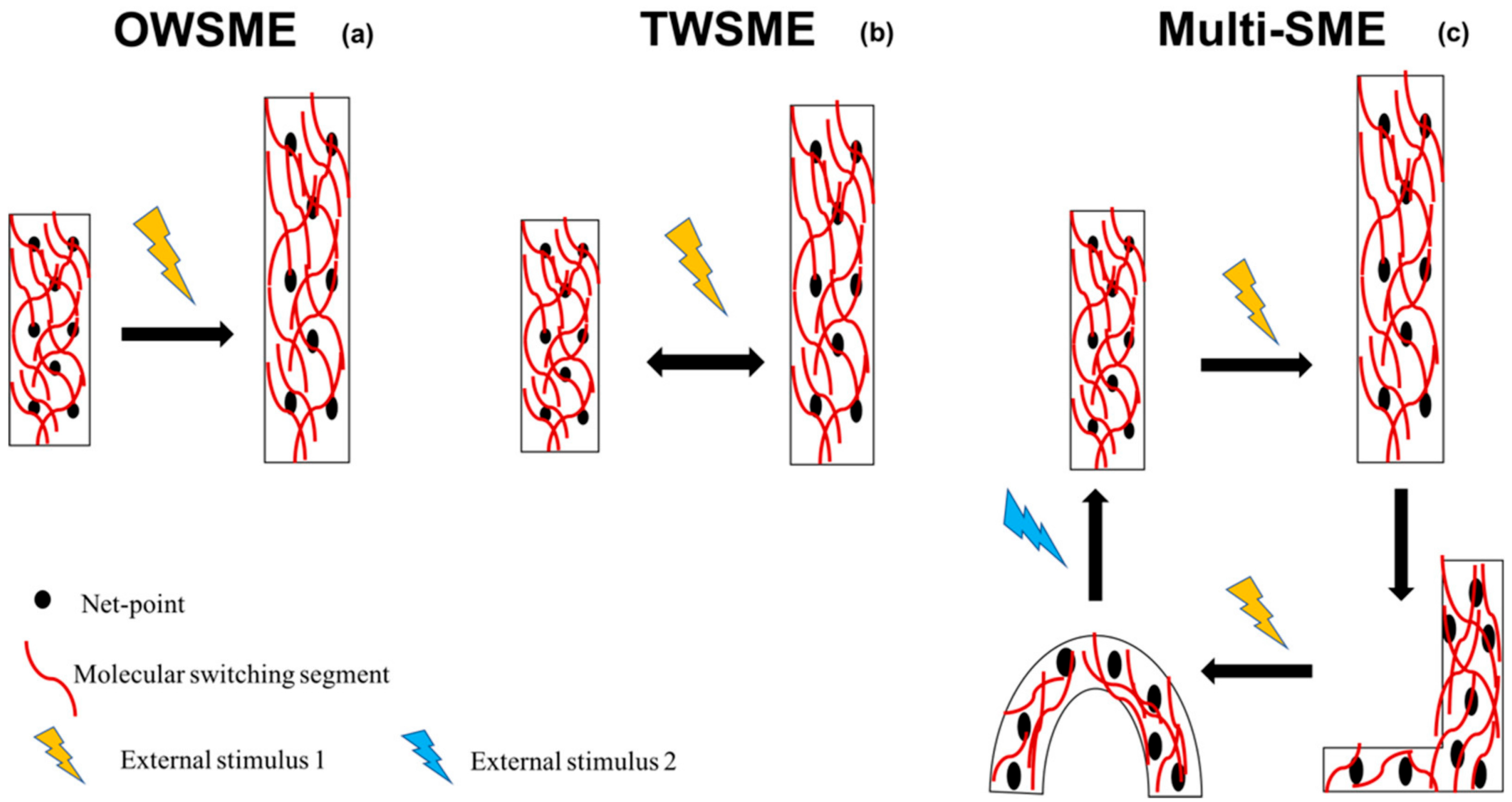 Processes 13 02991 g010