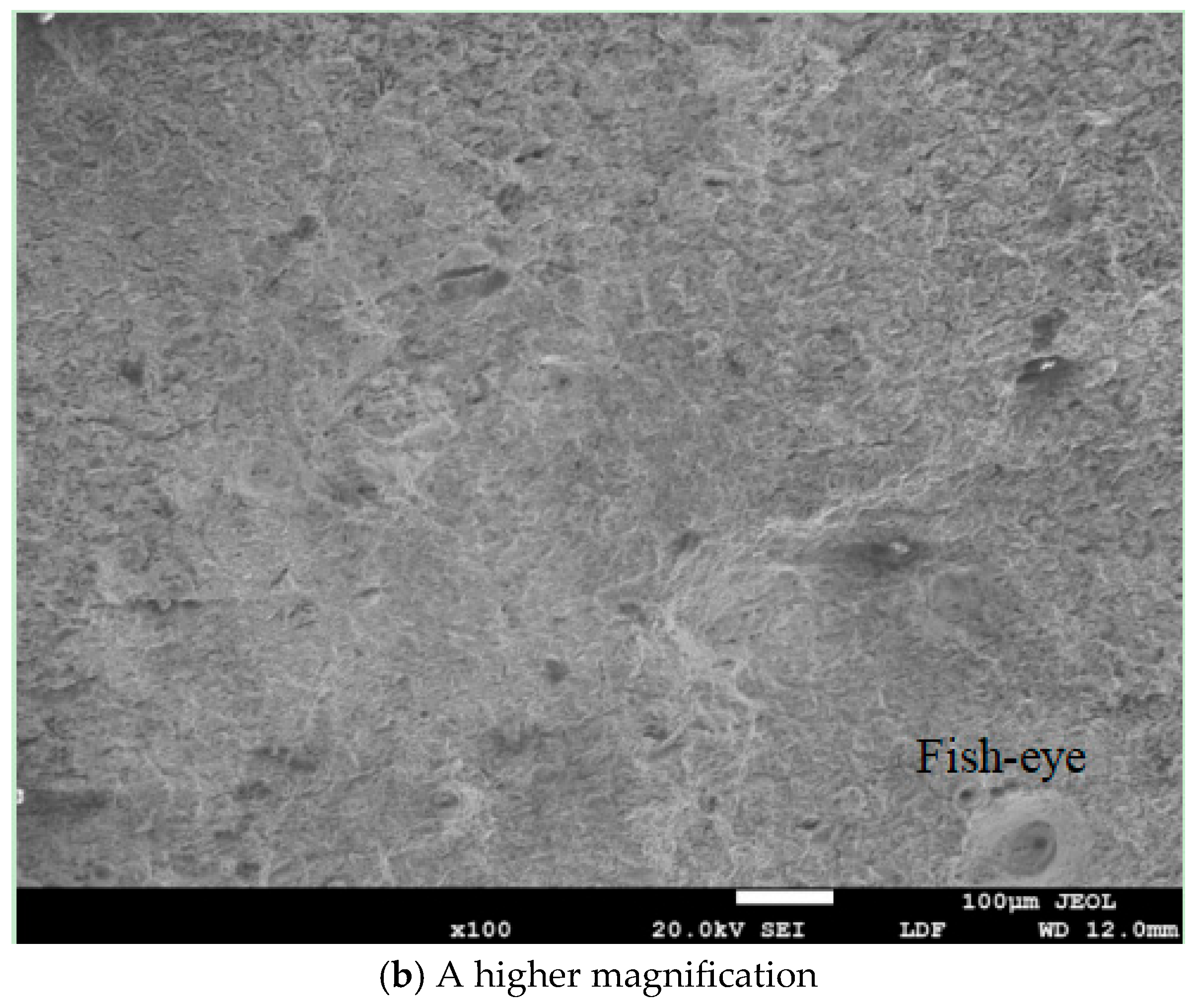 Processes 13 03004 g007b