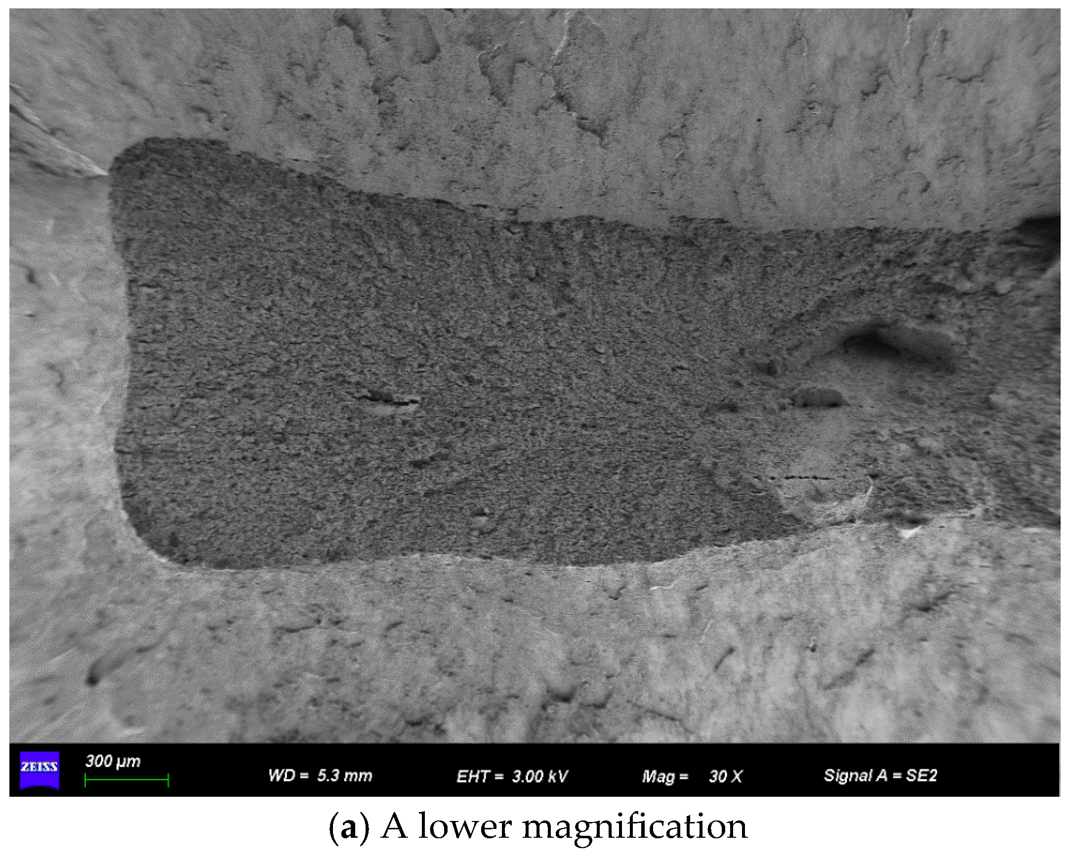 Processes 13 03004 g008a