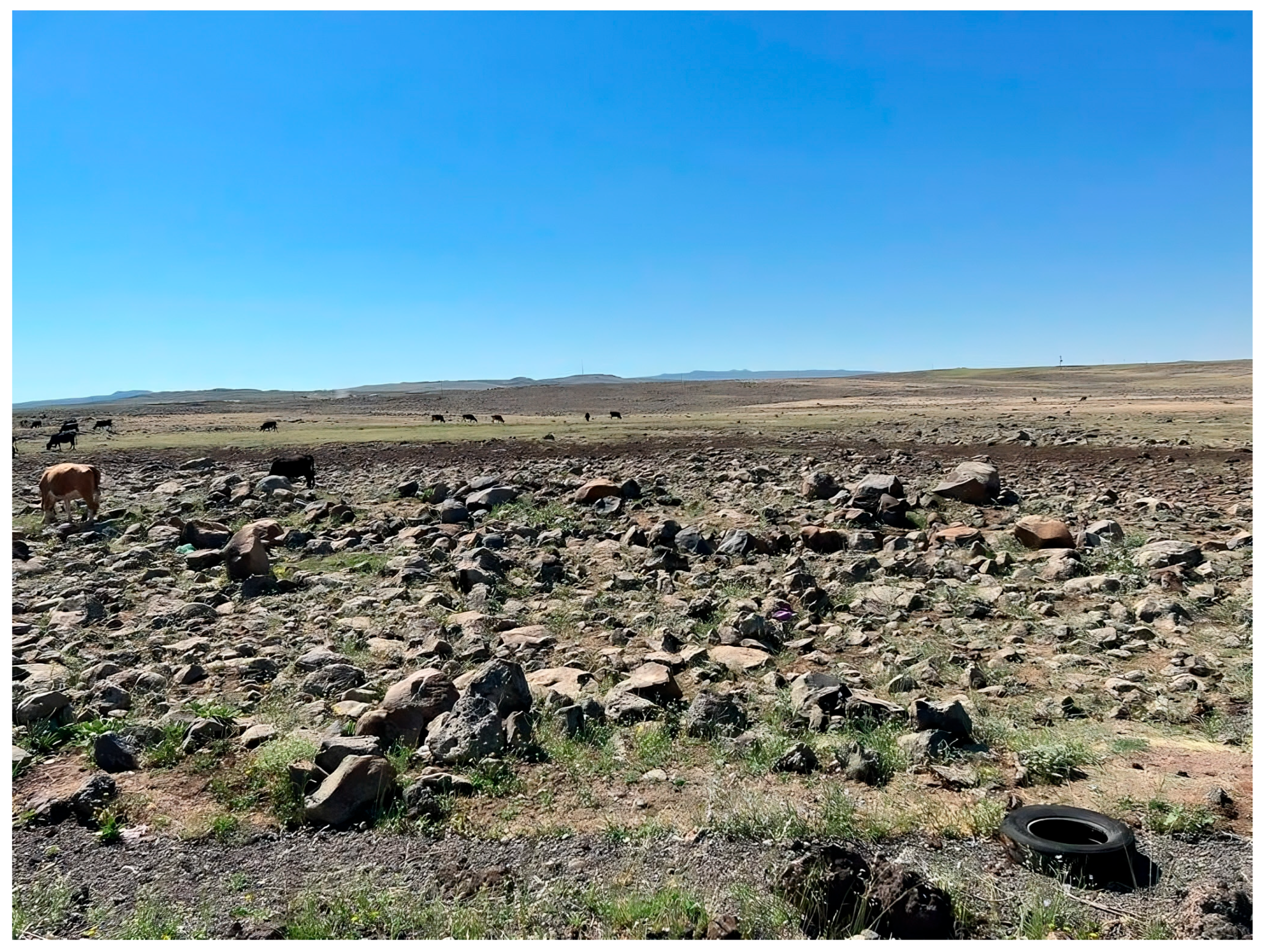 Processes 13 03022 g003 Processes 13 03022 g003