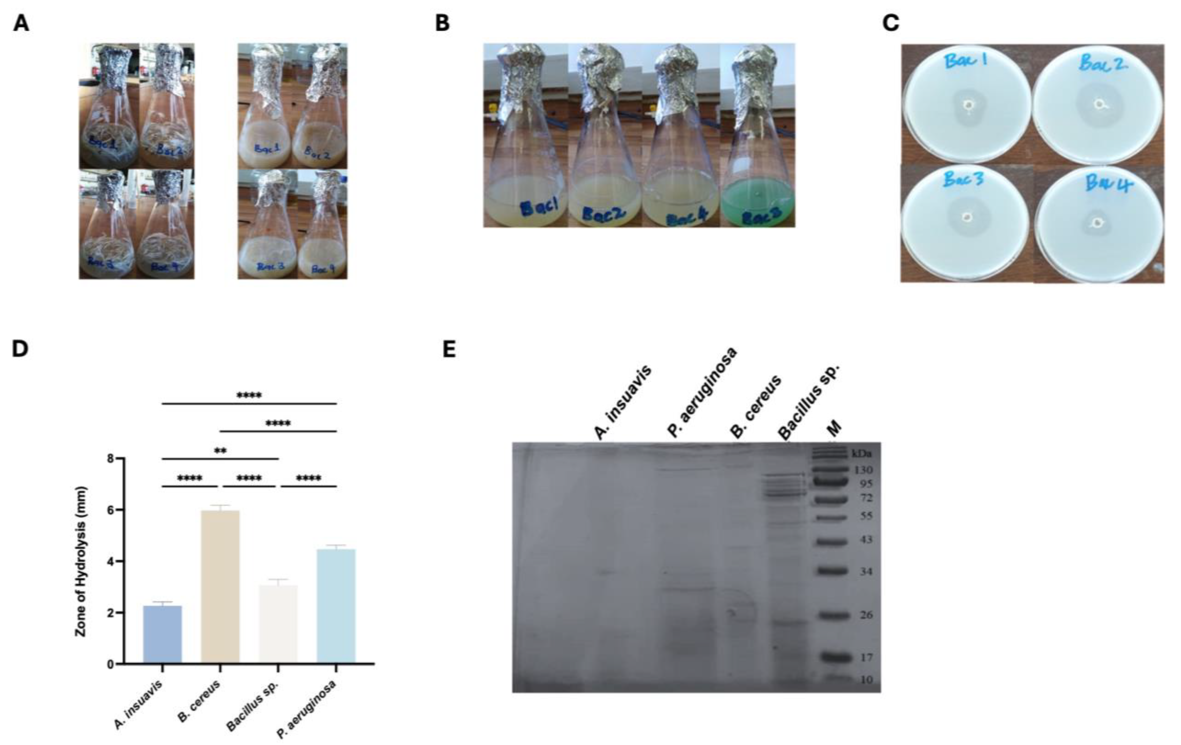 Processes 13 03050 g003