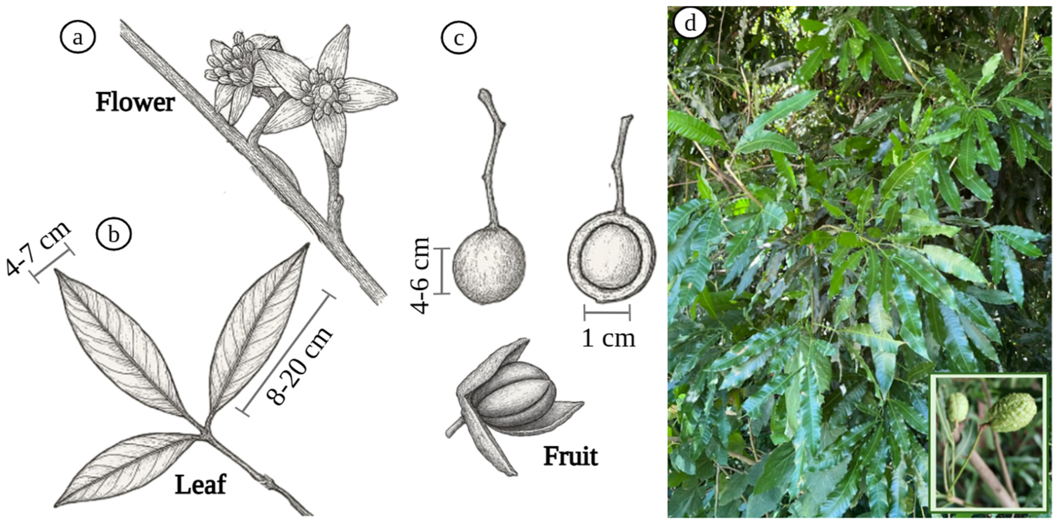 Processes 13 03058 g004