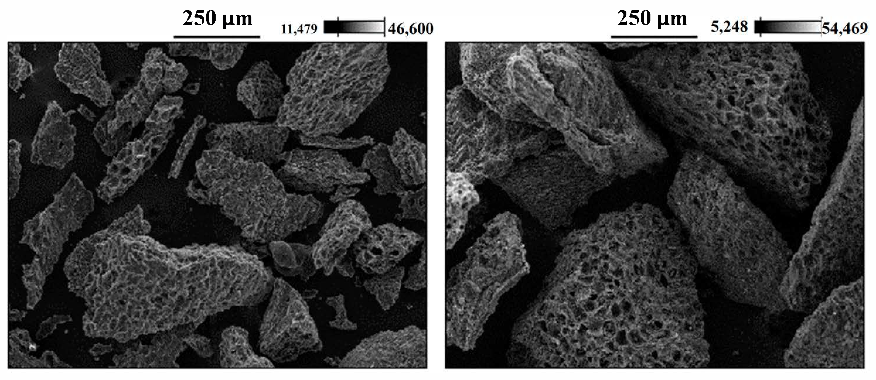 Processes 13 03064 g001