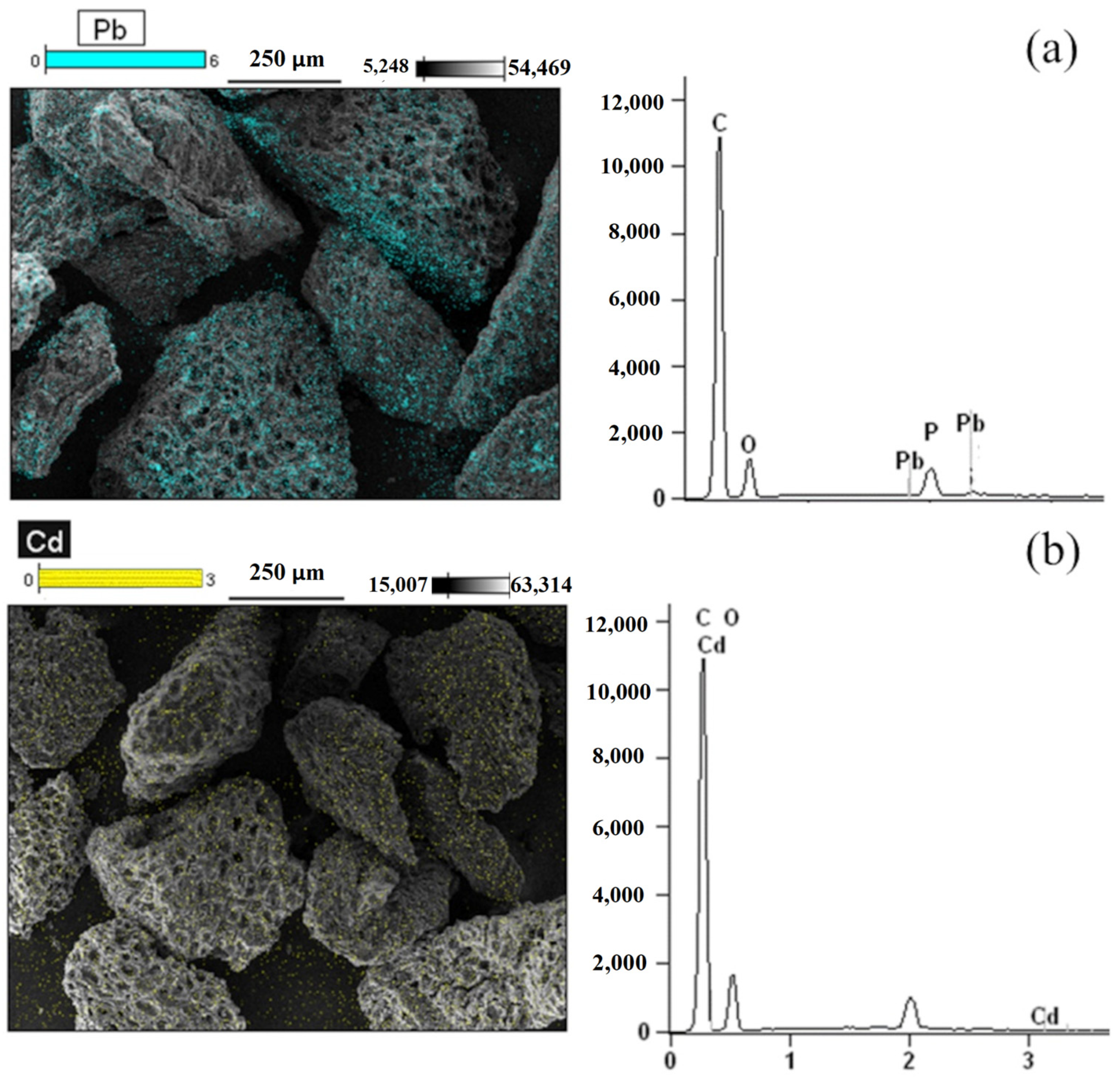 Processes 13 03064 g002