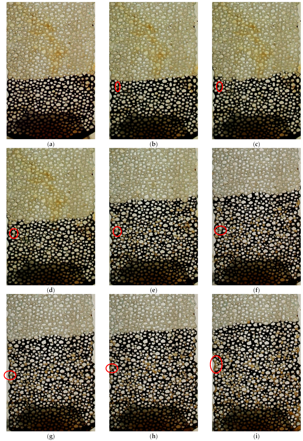 Processes 13 03067 g003 Processes 13 03067 g003