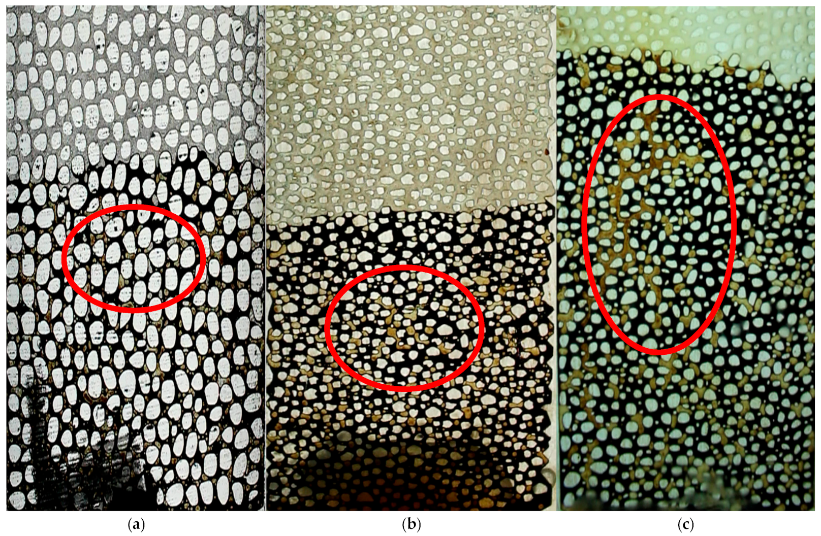 Processes 13 03067 g005 Processes 13 03067 g005