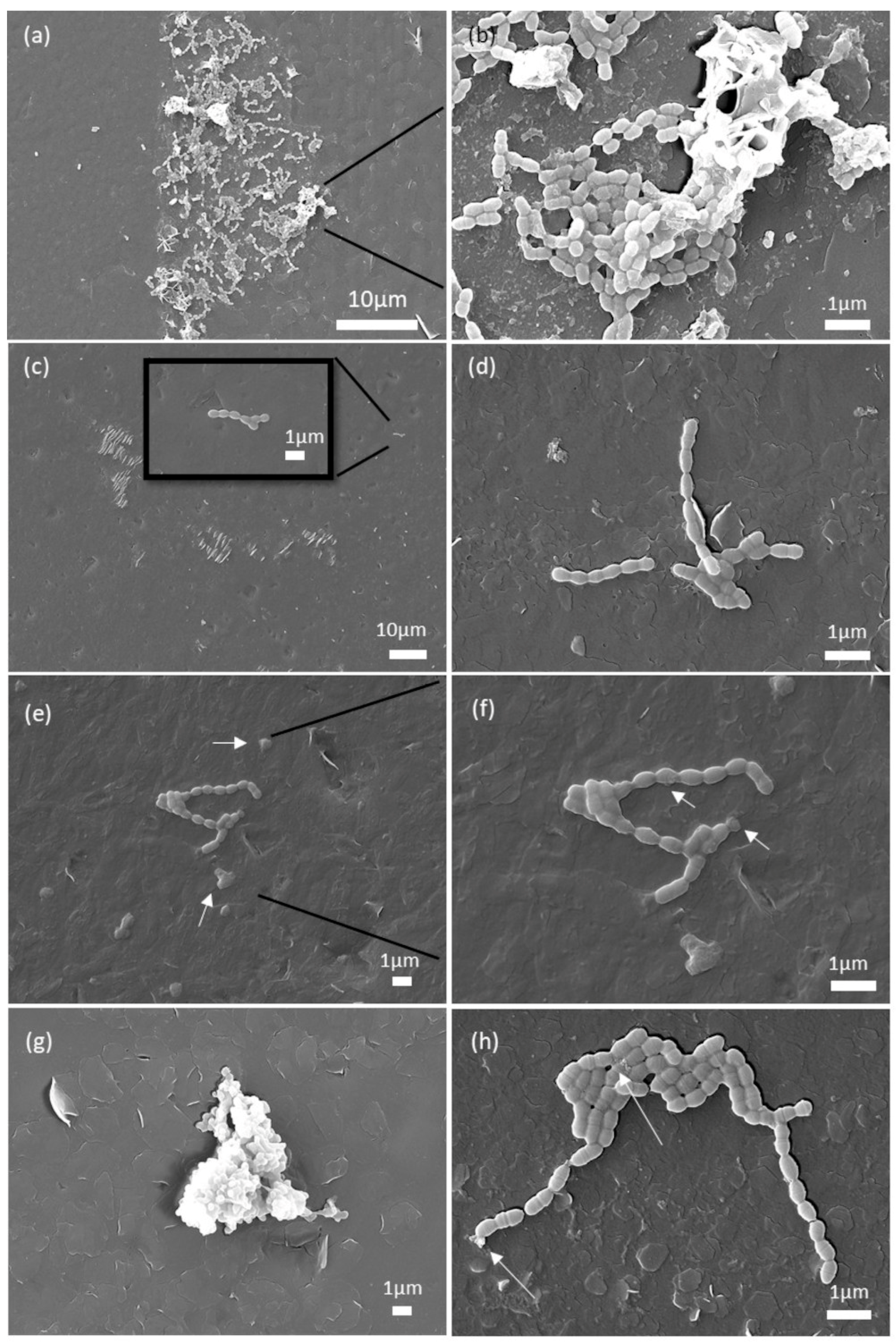 Processes 13 03069 g006