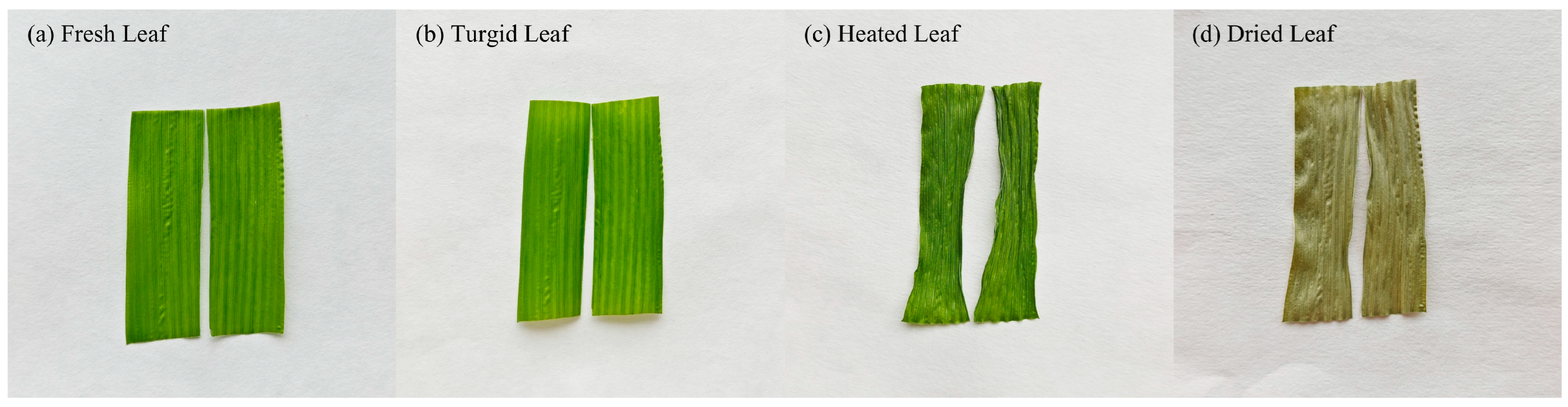 Processes 13 03087 g001