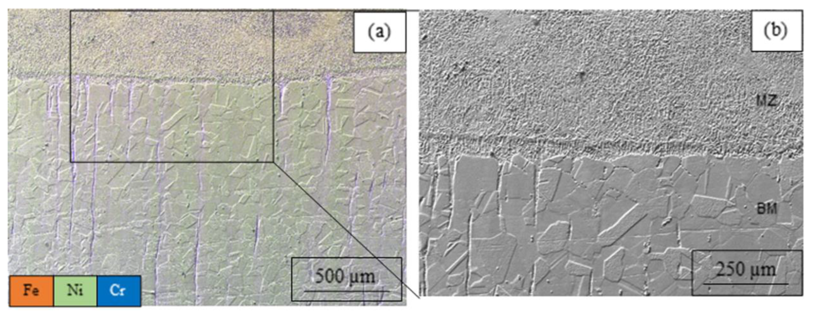 Processes 13 03116 g002