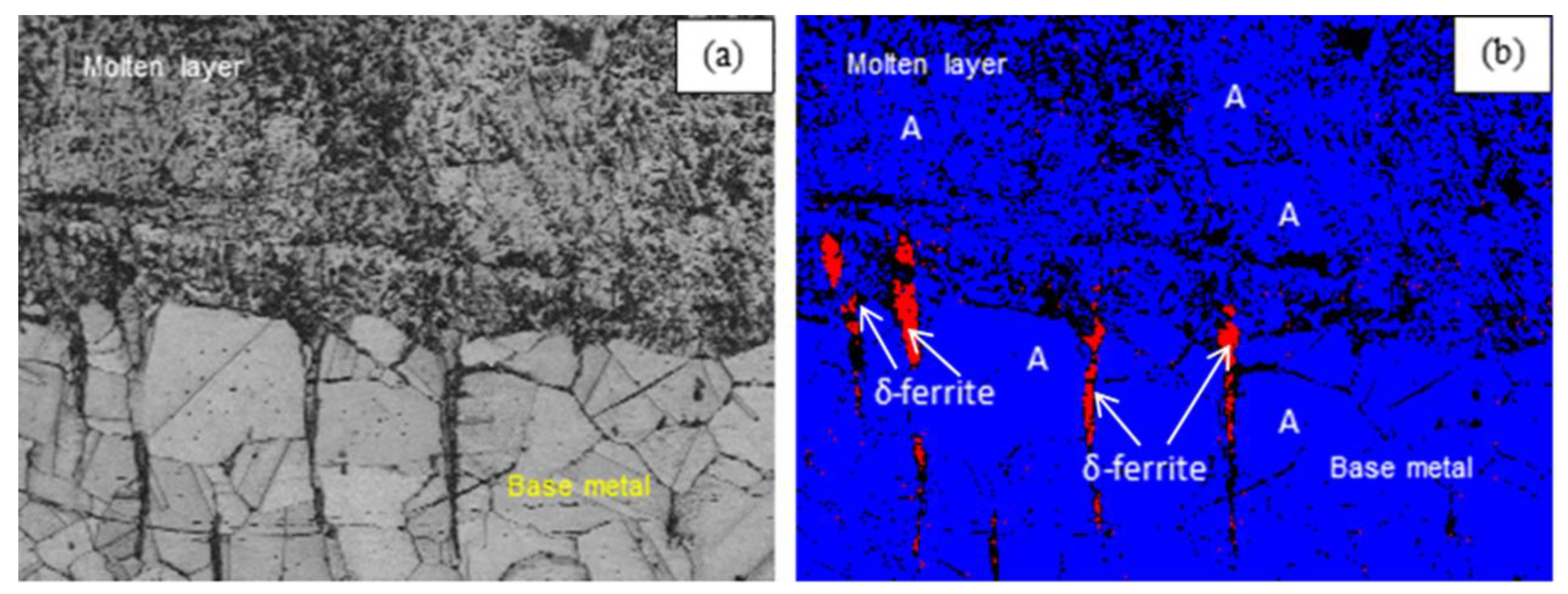 Processes 13 03116 g004