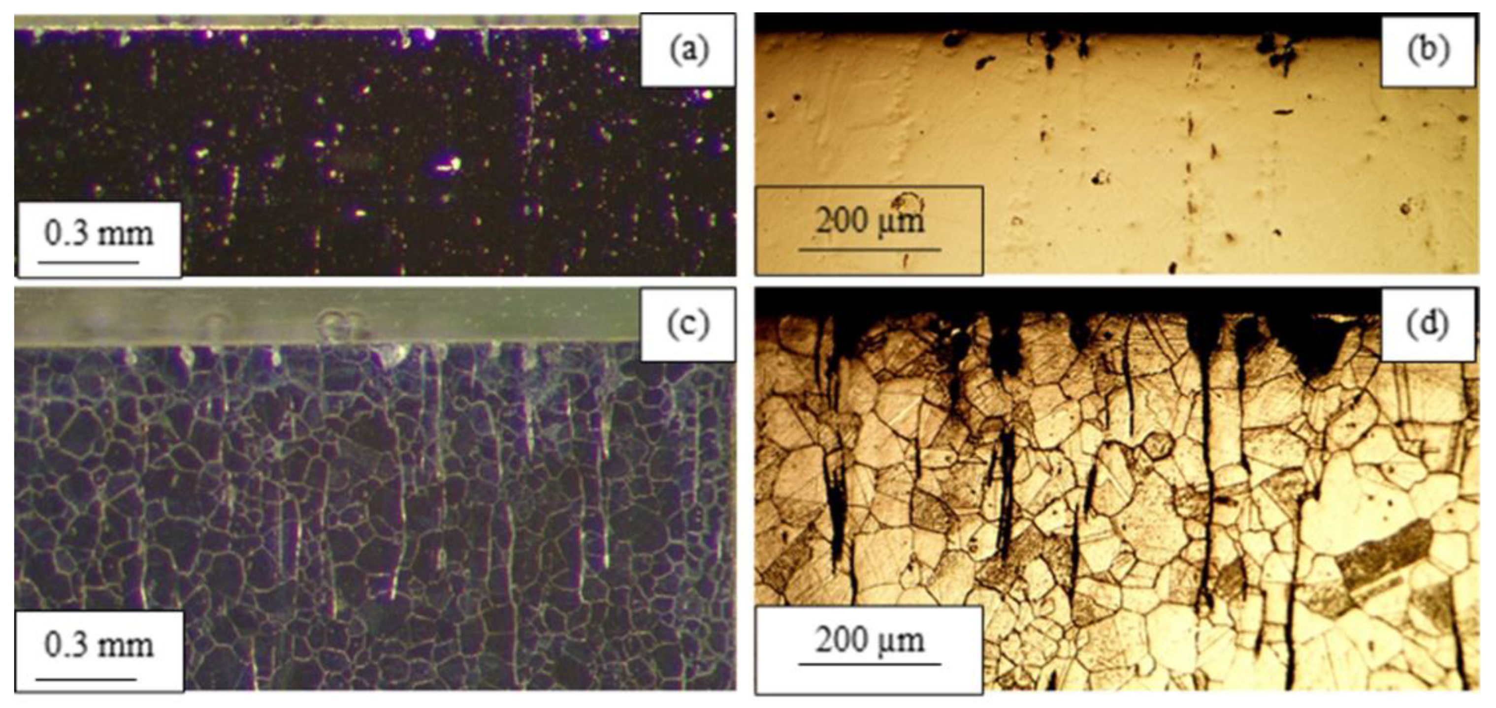 Processes 13 03116 g007
