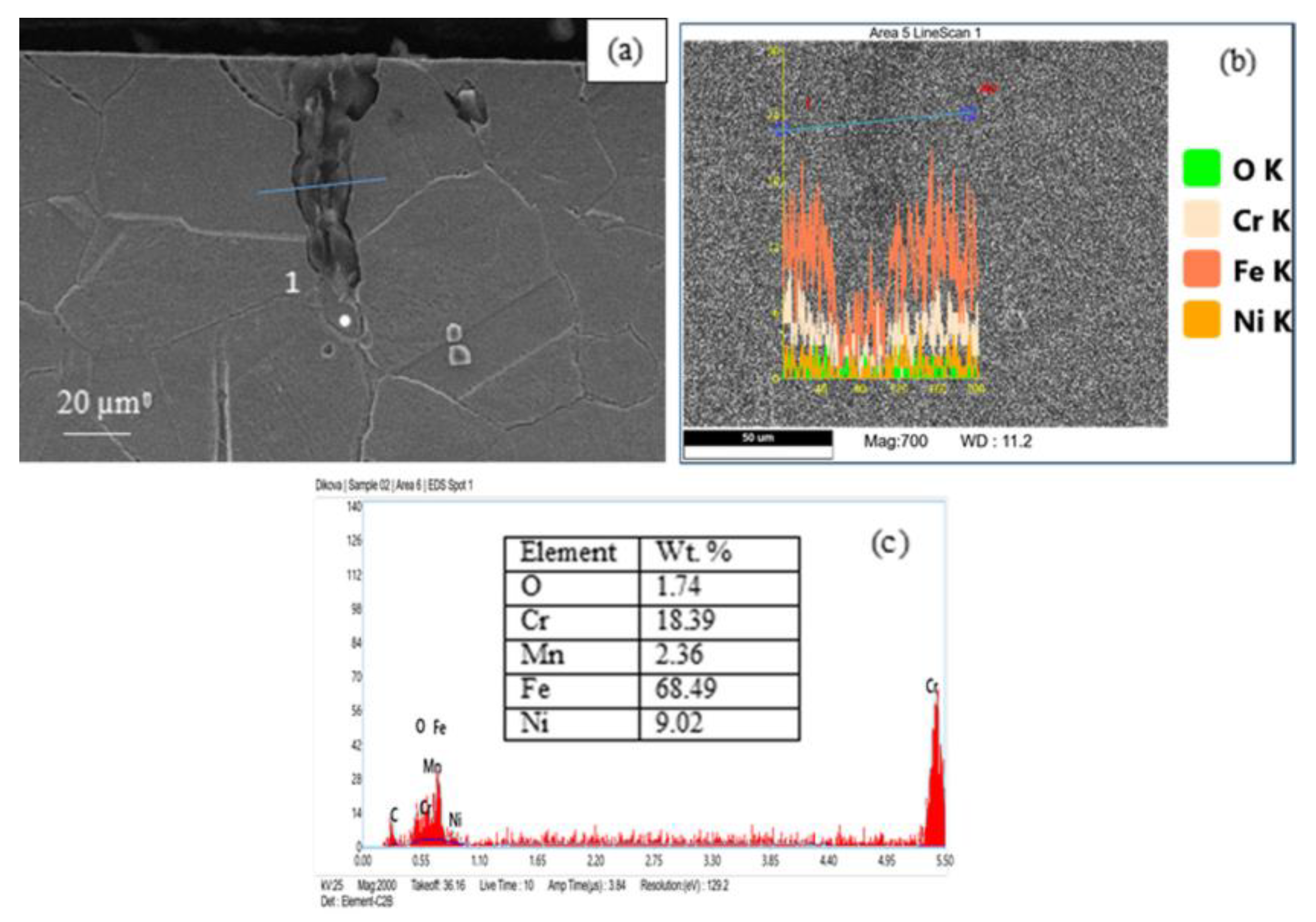 Processes 13 03116 g009