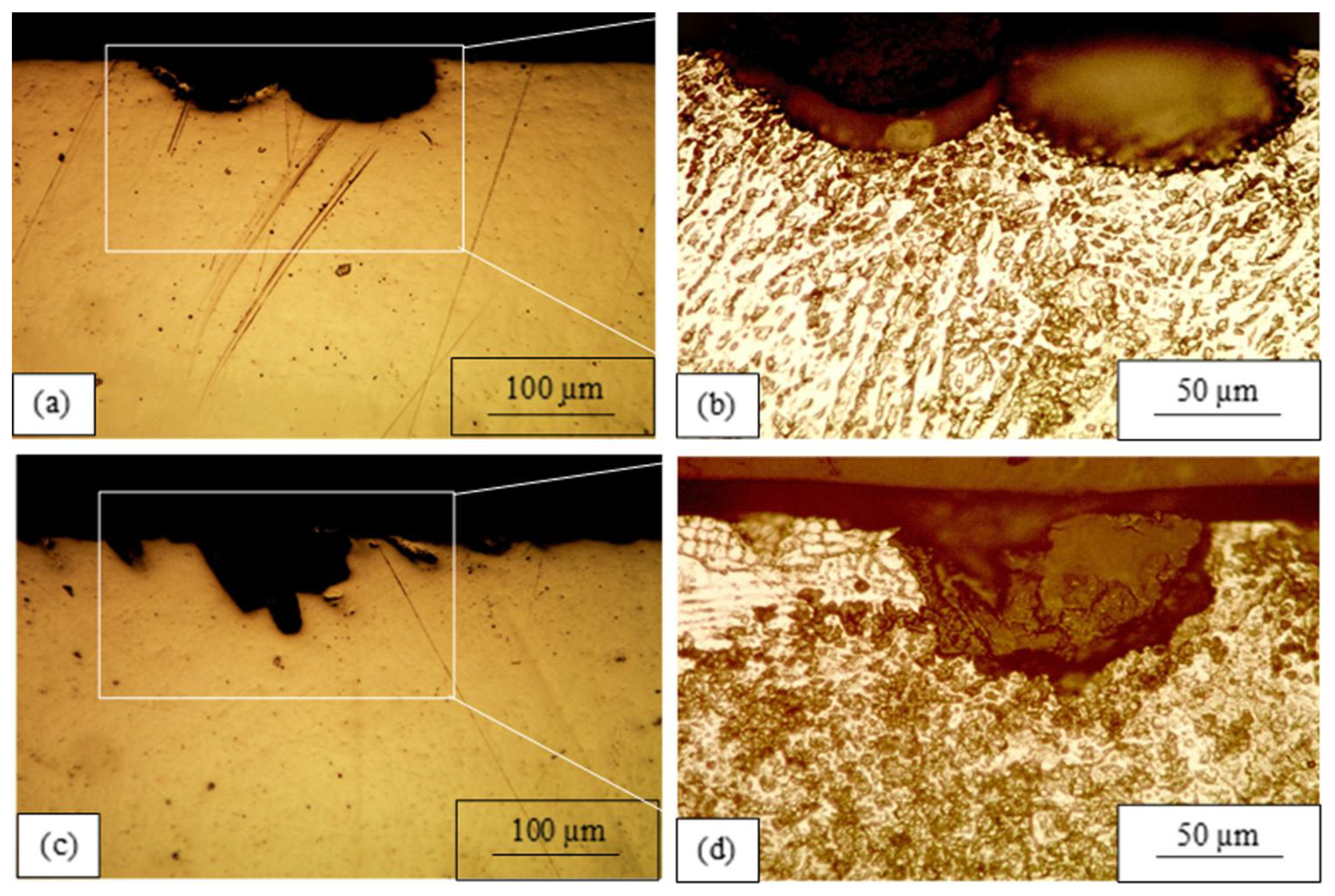 Processes 13 03116 g011