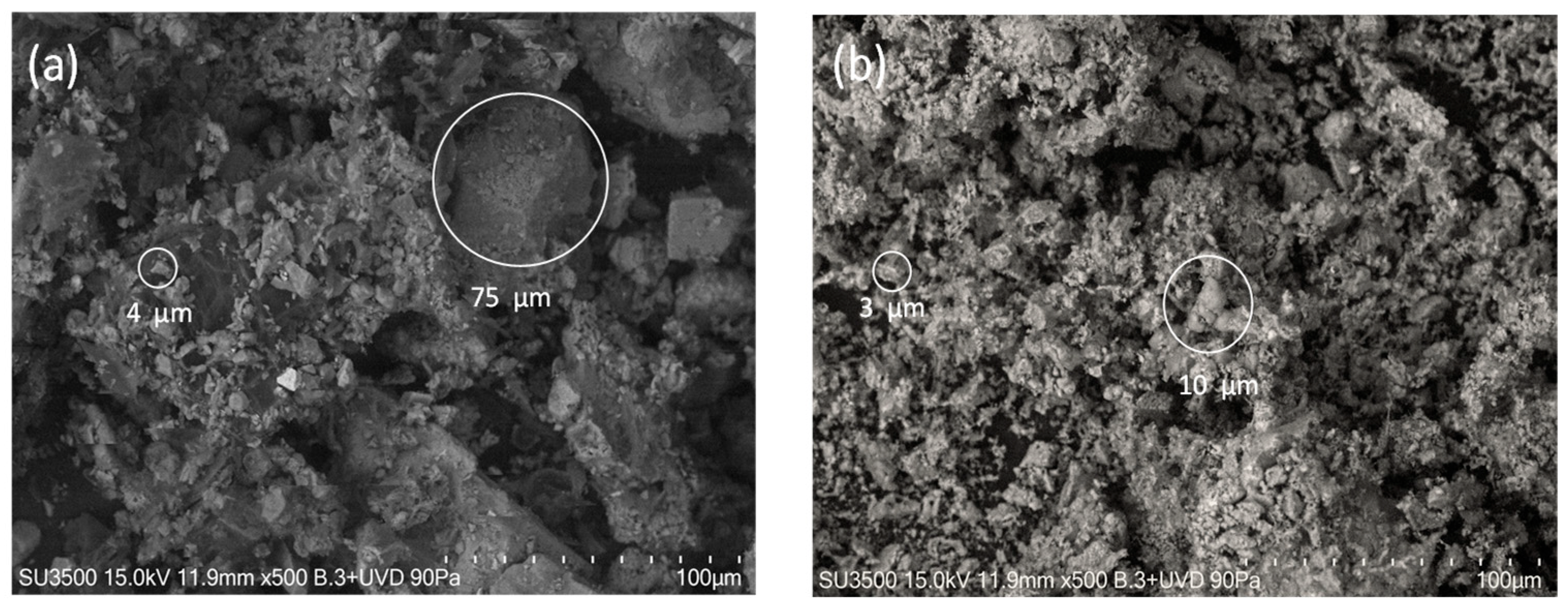 Processes 13 03118 g001