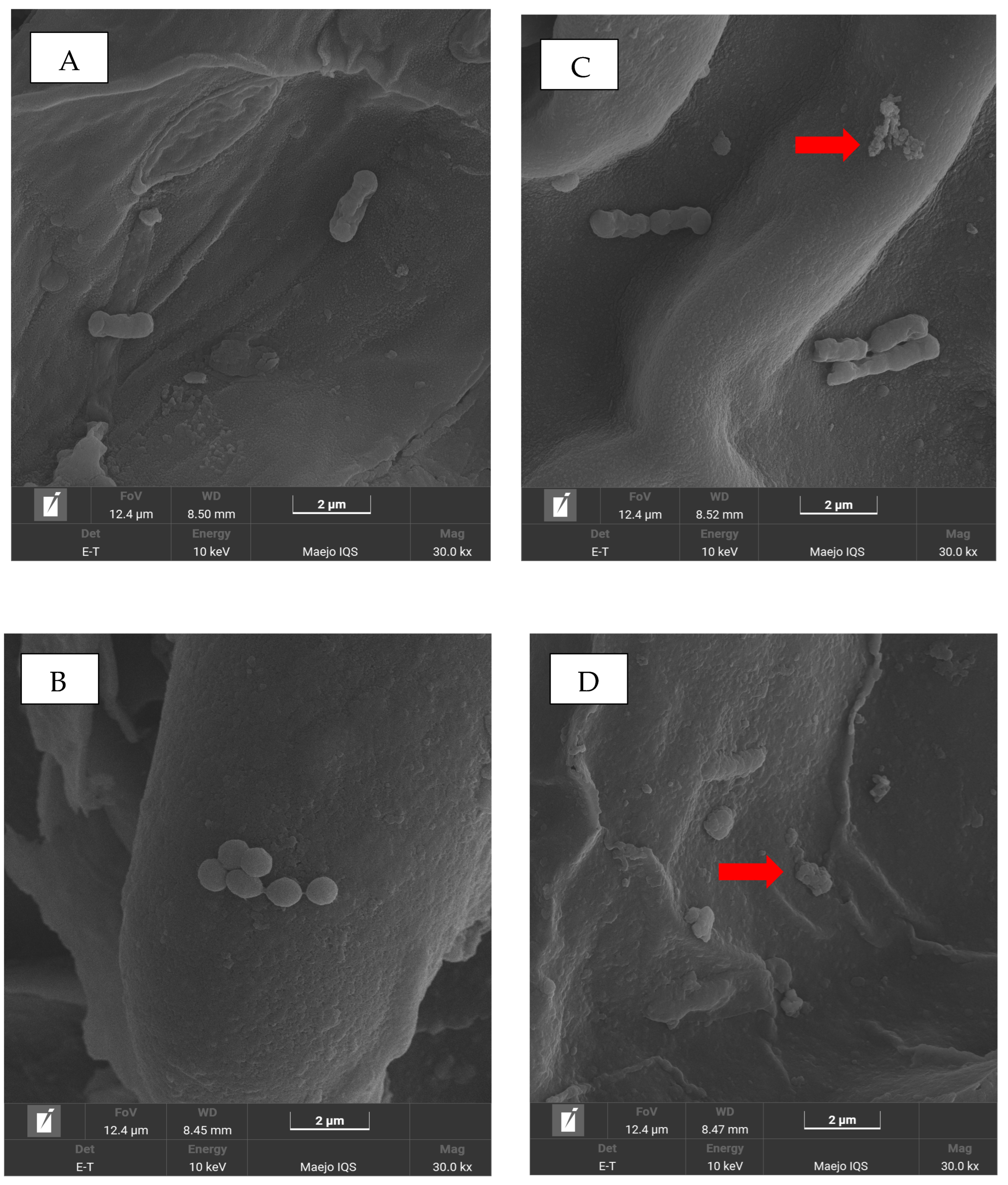 Processes 13 03130 g004 Processes 13 03130 g004