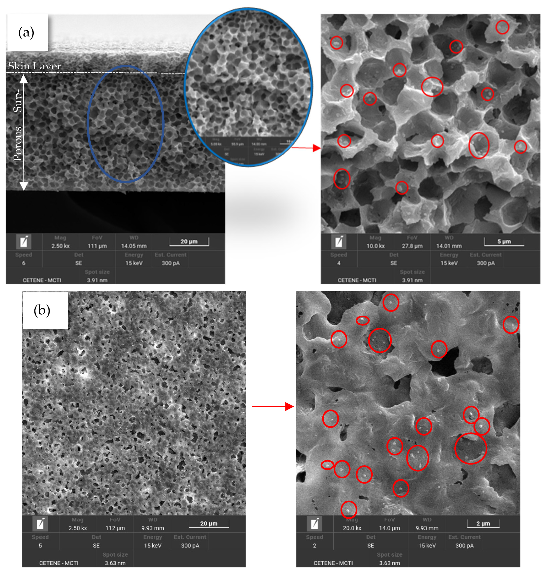 Processes 13 03155 g005 Processes 13 03155 g005