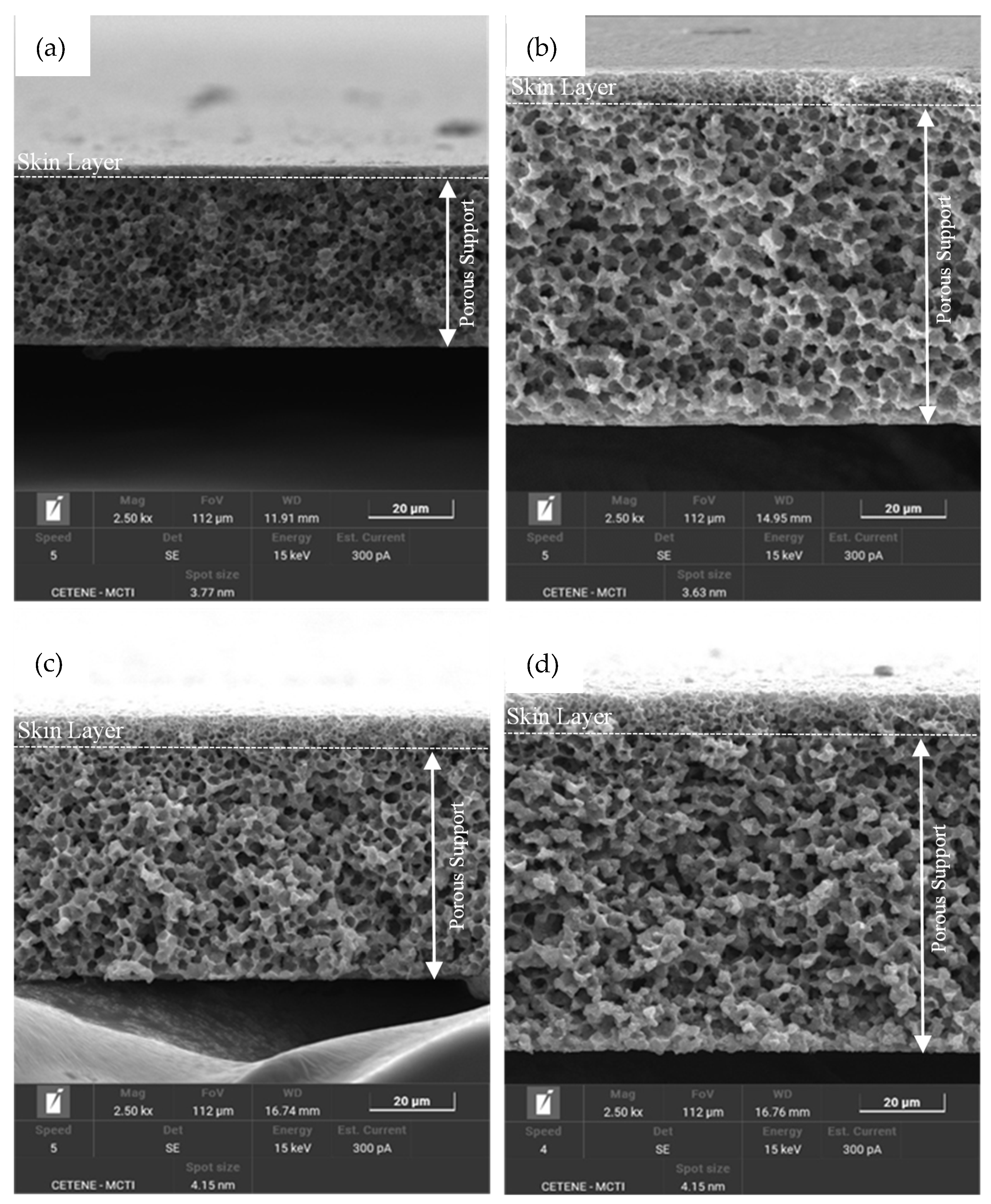 Processes 13 03155 g007 Processes 13 03155 g007