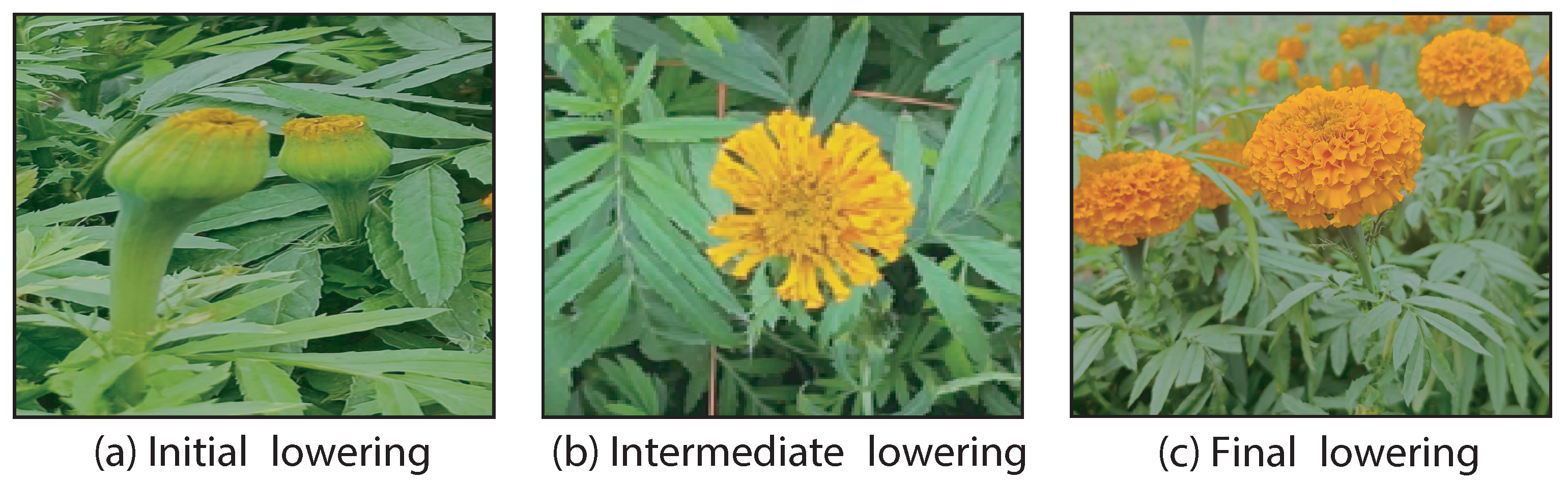 Processes 13 03169 g002