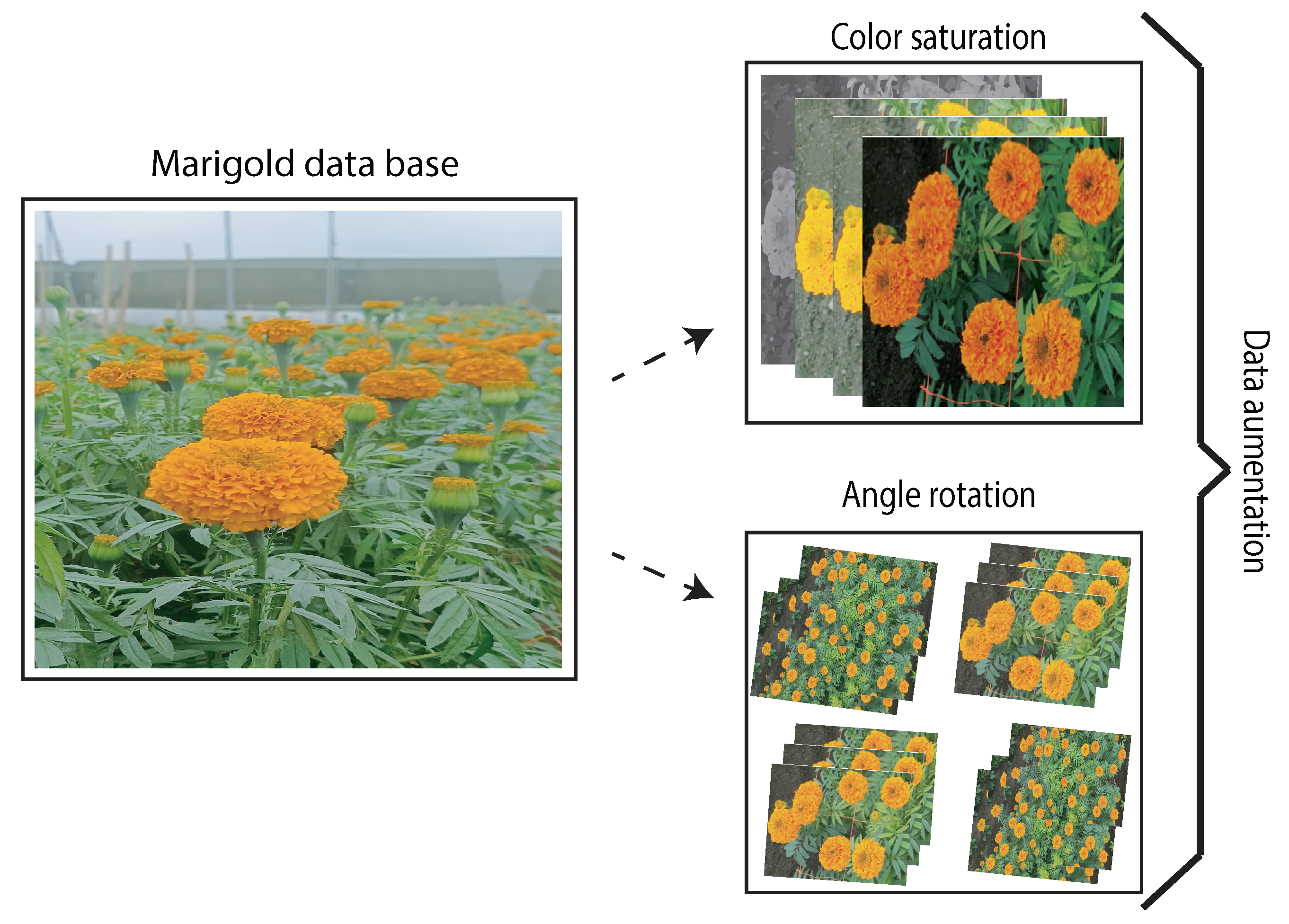 Processes 13 03169 g003