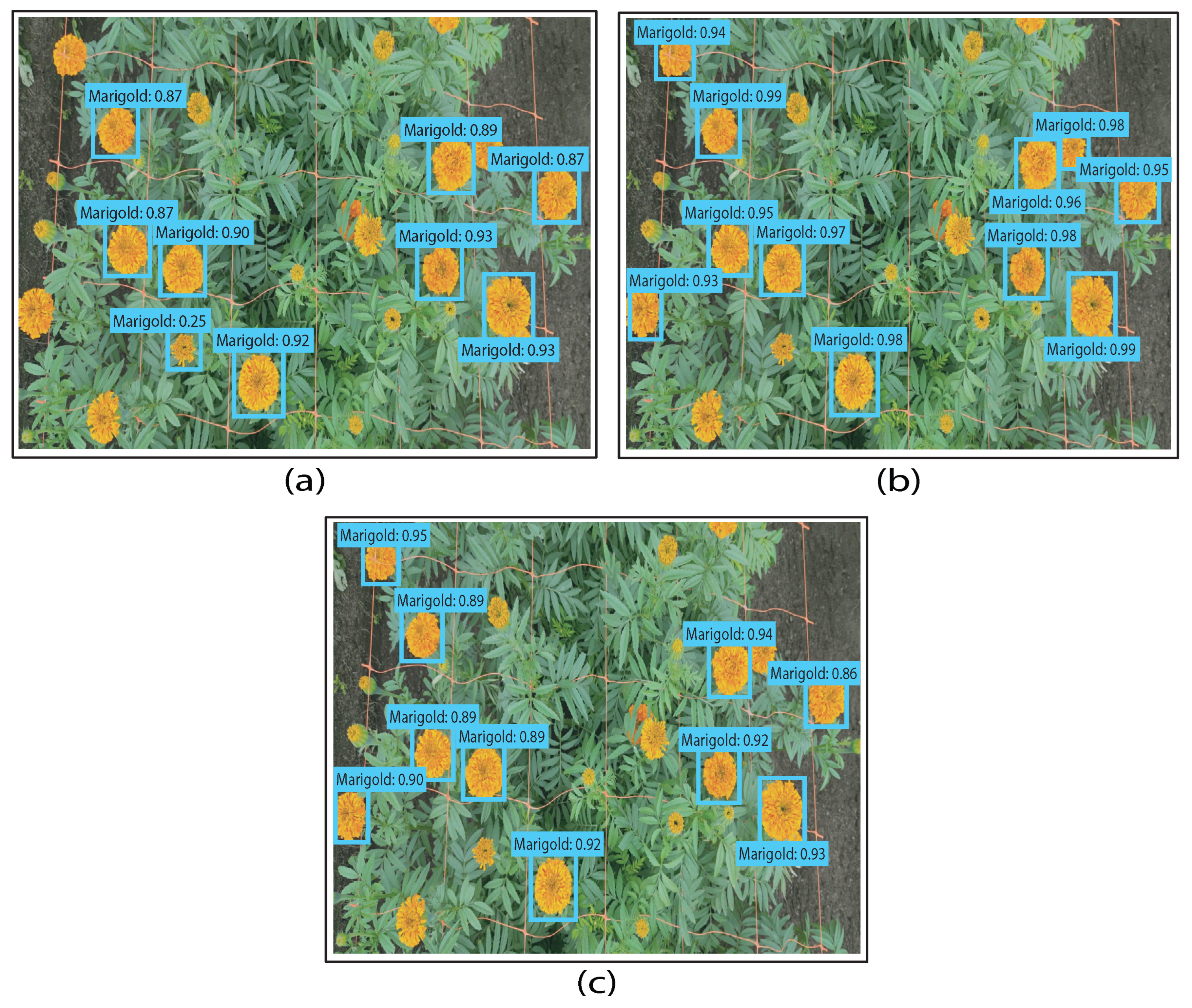 Processes 13 03169 g005