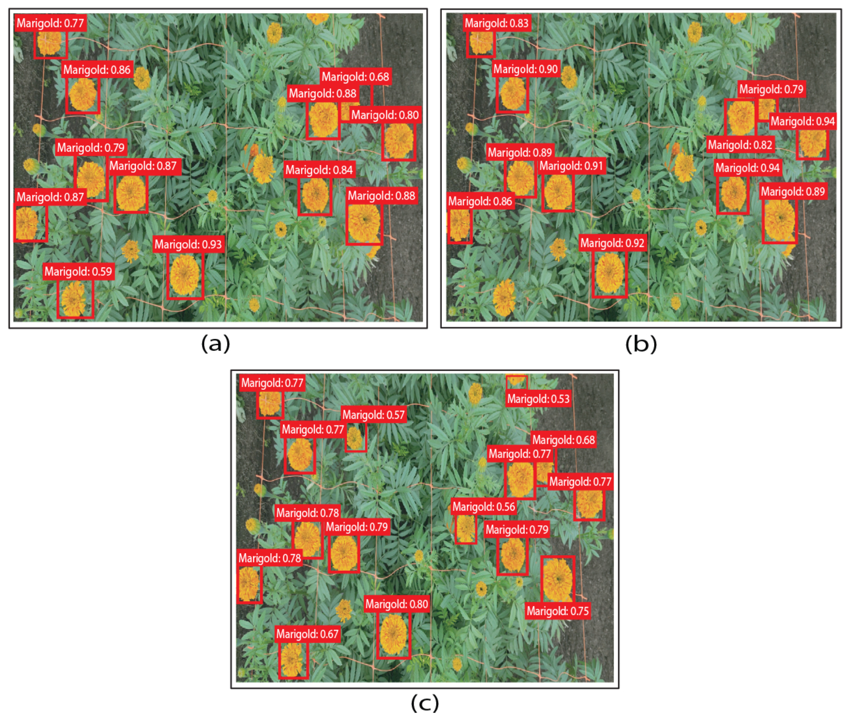 Processes 13 03169 g006