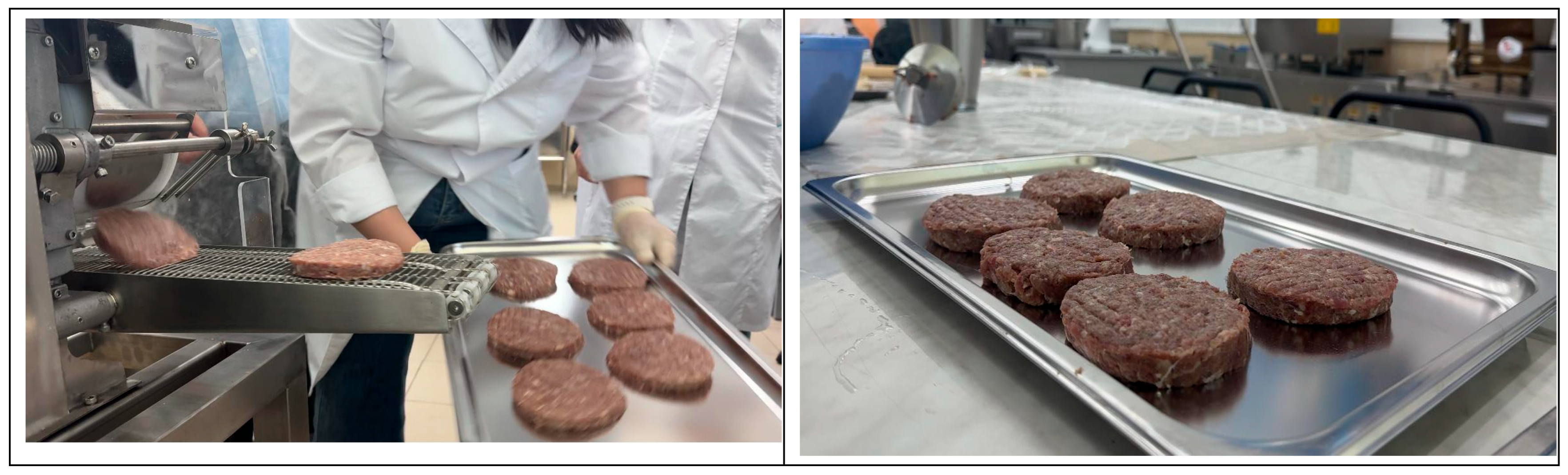 Processes 13 03171 g001