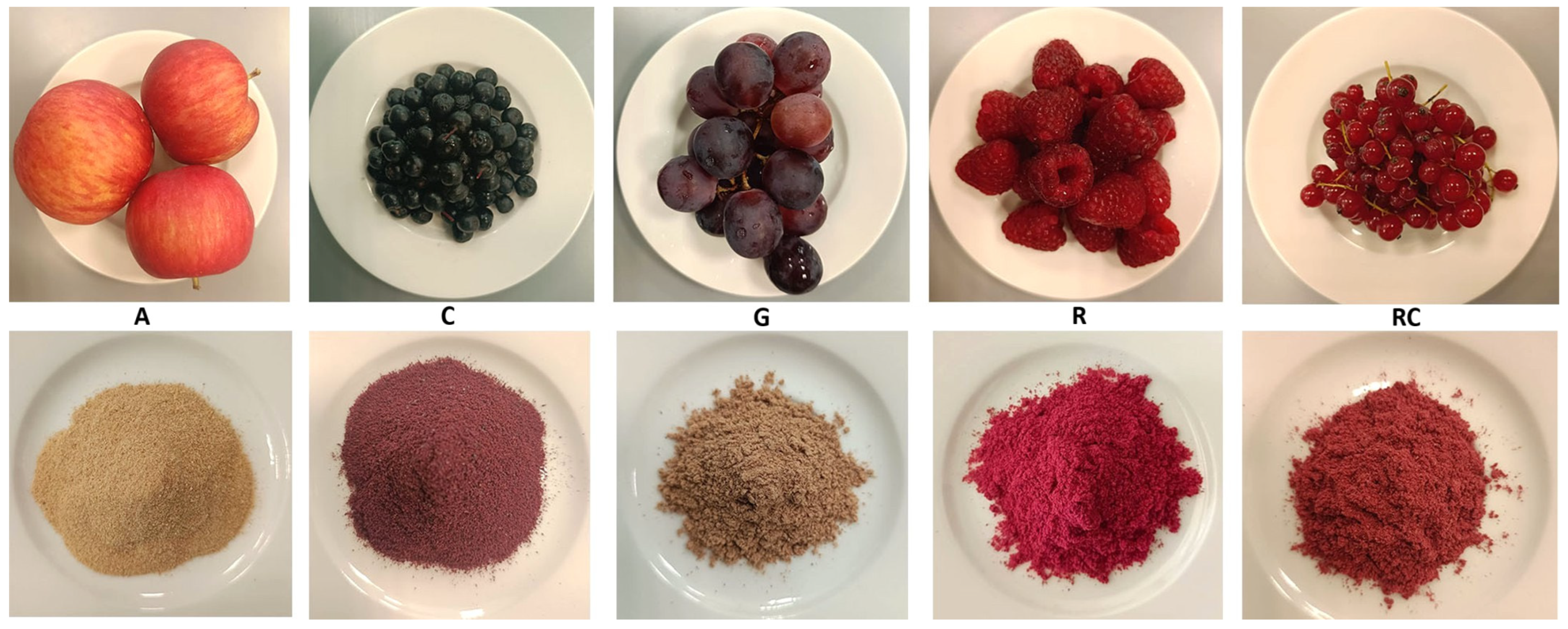 Processes 13 03182 g001