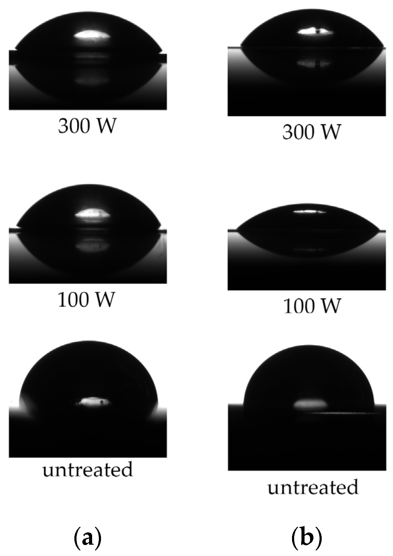 Processes 13 03190 g003