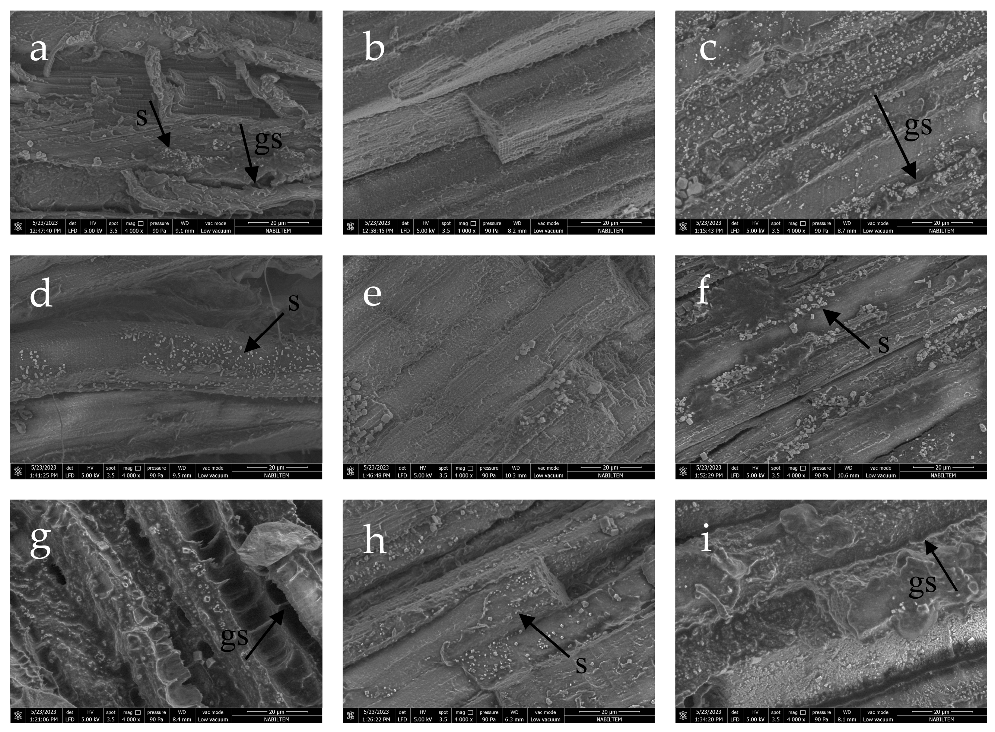 Processes 13 03223 g001 Processes 13 03223 g001