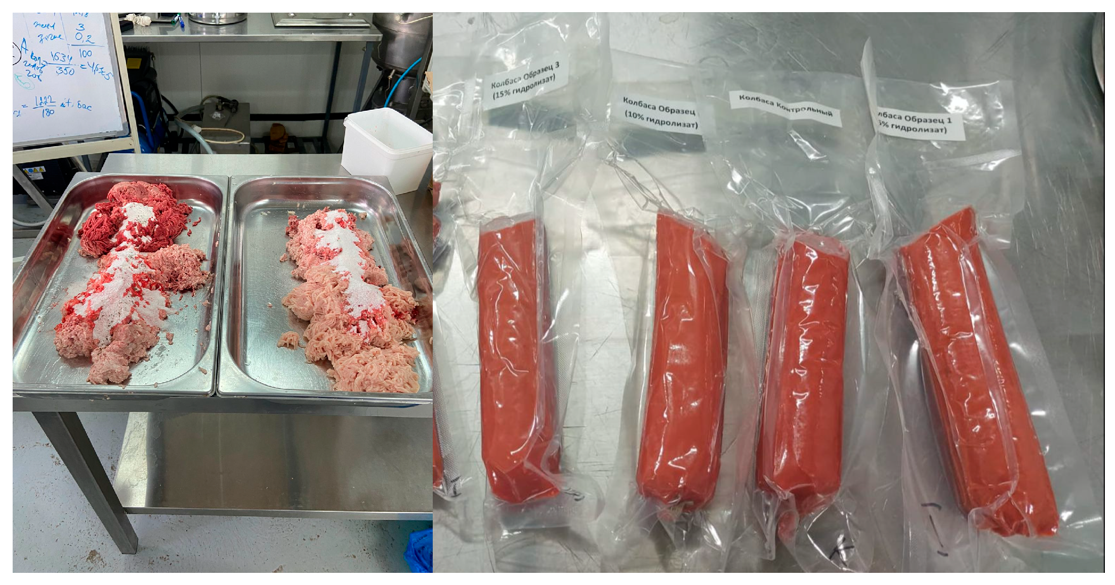 Processes 13 03233 g001 Processes 13 03233 g001