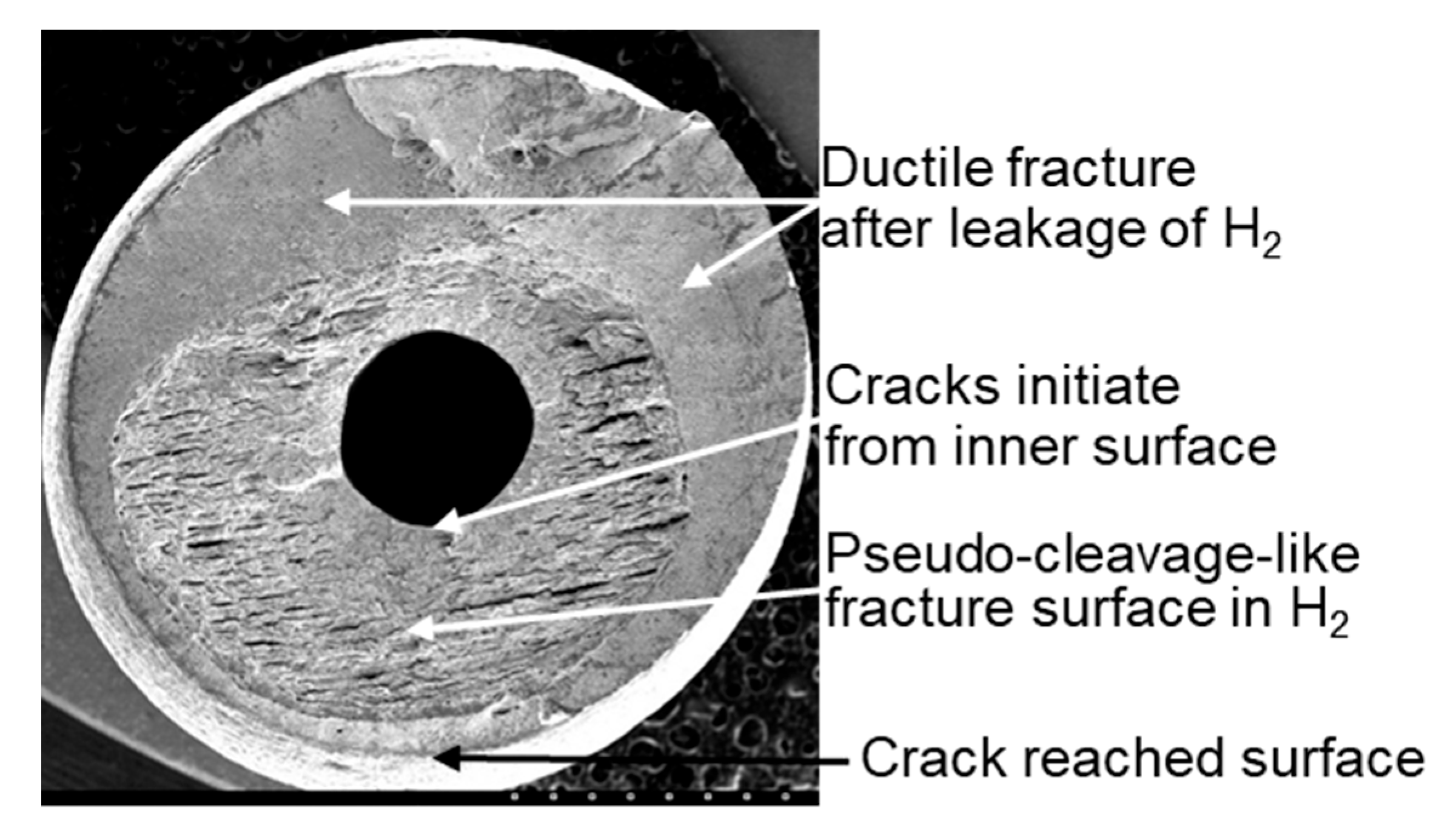 Processes 13 03236 g009