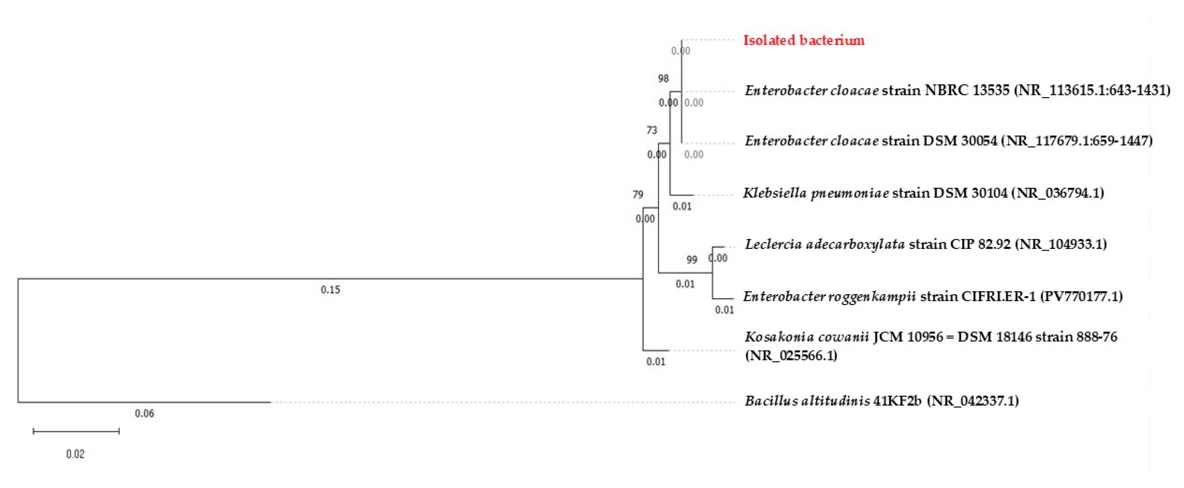 Processes 13 03239 g009