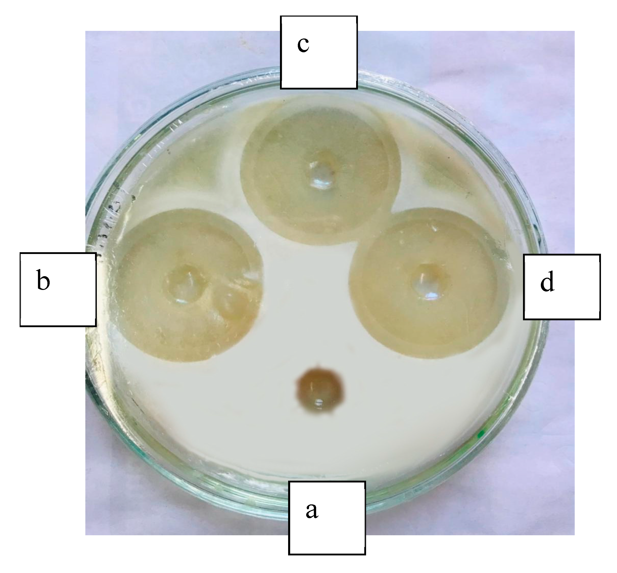 Processes 13 03239 g010