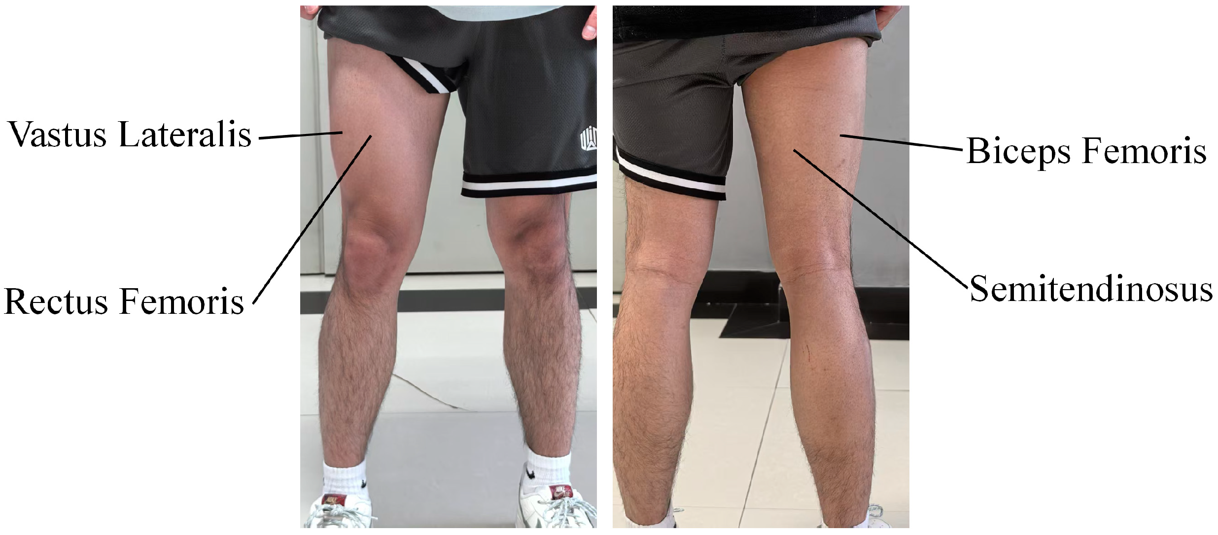 Processes 13 03252 g008