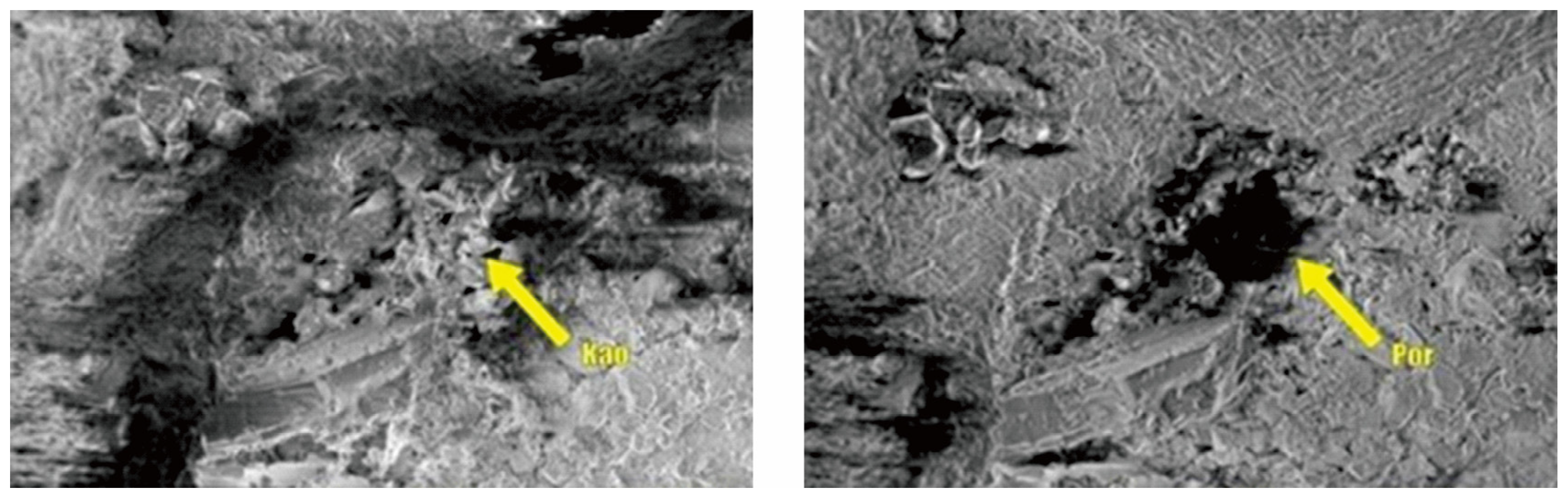 Processes 13 03283 g021
